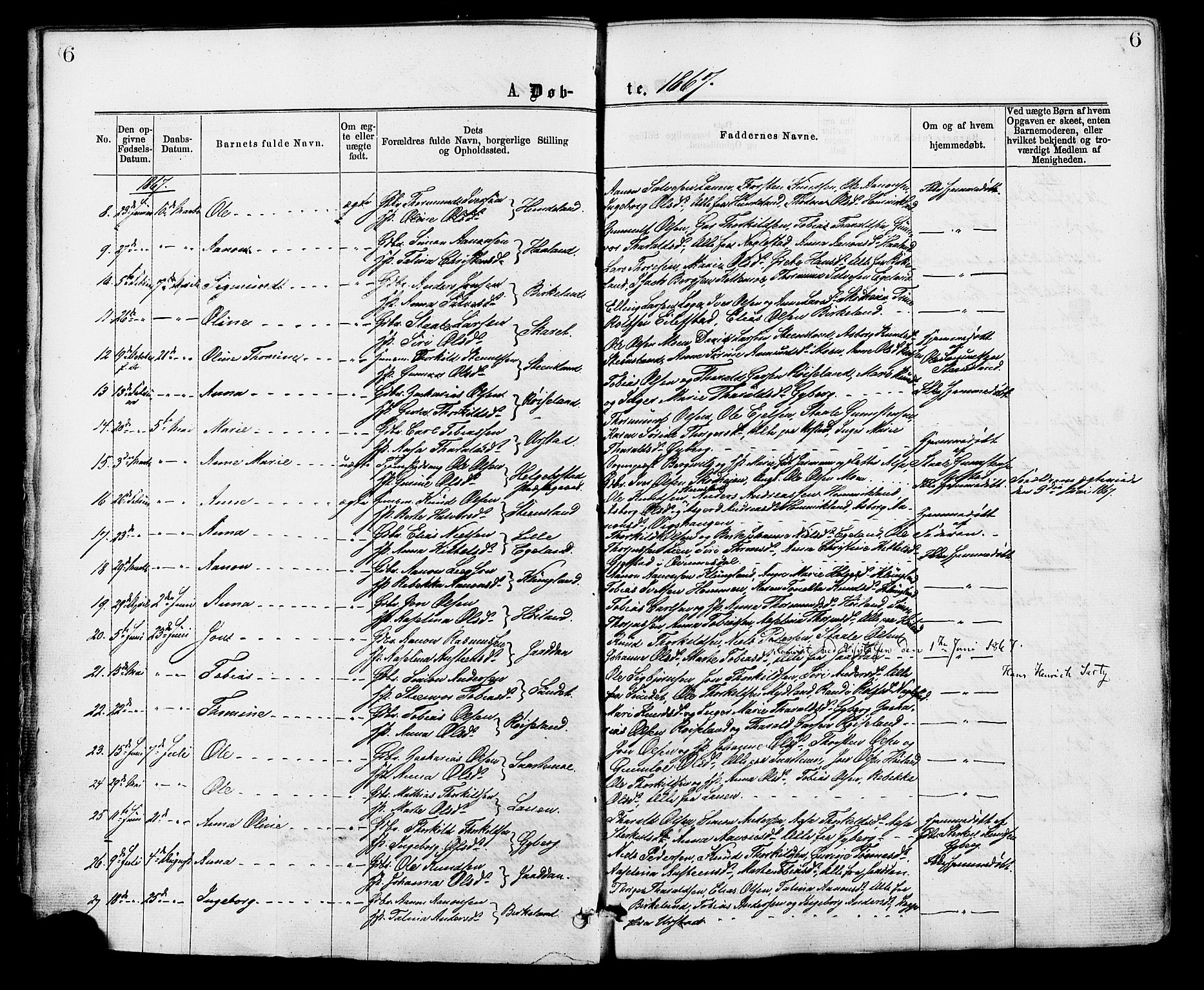 Hægebostad sokneprestkontor, SAK/1111-0024/F/Fa/Faa/L0005: Parish register (official) no. A 5, 1864-1886, p. 6