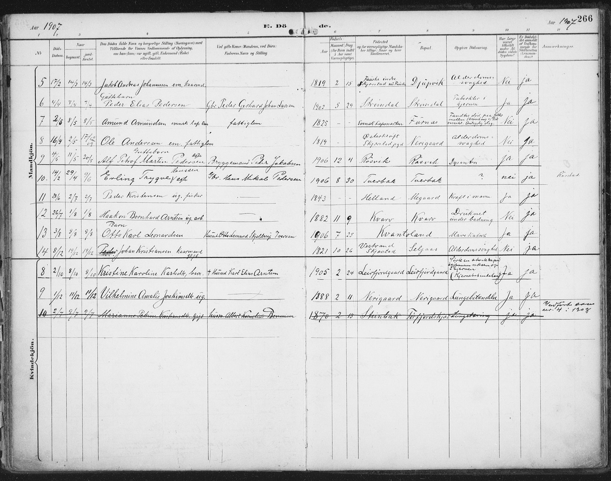 Ministerialprotokoller, klokkerbøker og fødselsregistre - Nordland, SAT/A-1459/854/L0779: Parish register (official) no. 854A02, 1892-1909, p. 266