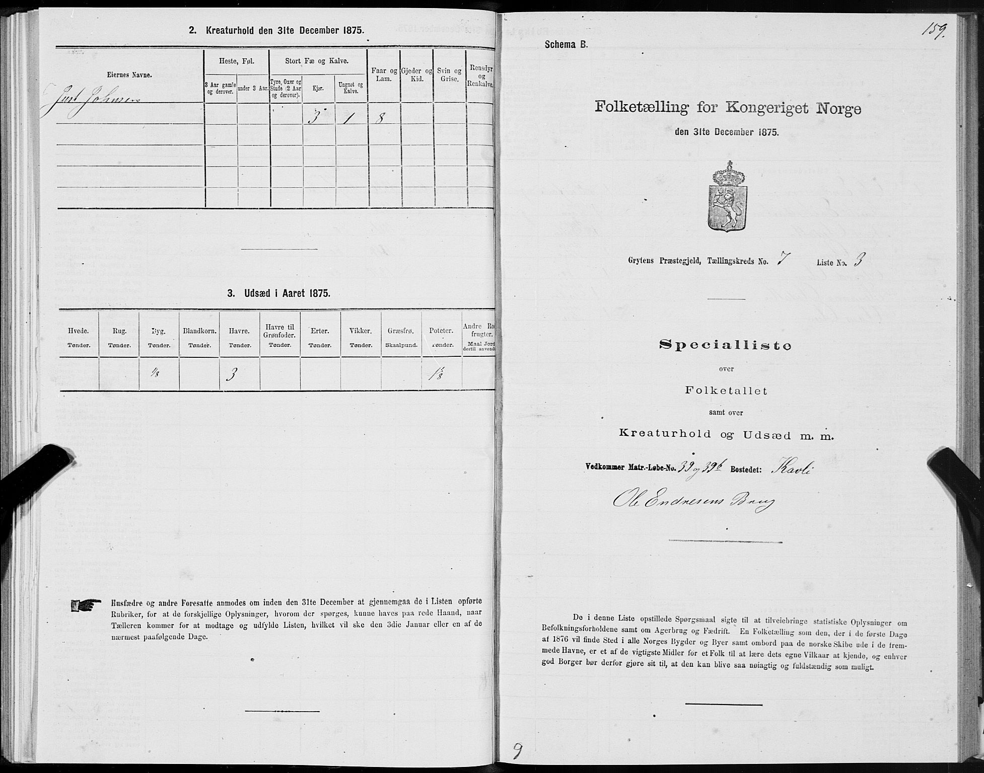 SAT, 1875 census for 1539P Grytten, 1875, p. 3159