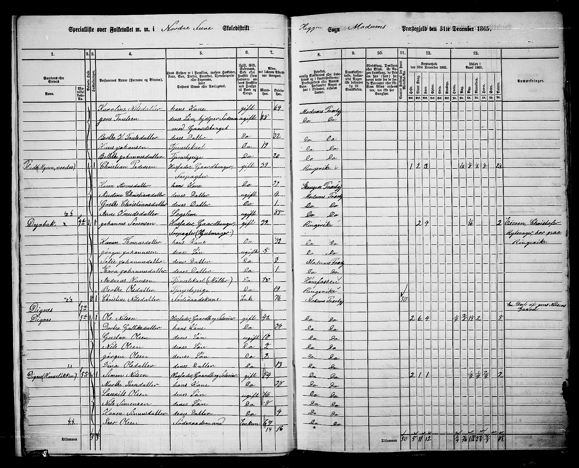 RA, 1865 census for Modum, 1865, p. 21