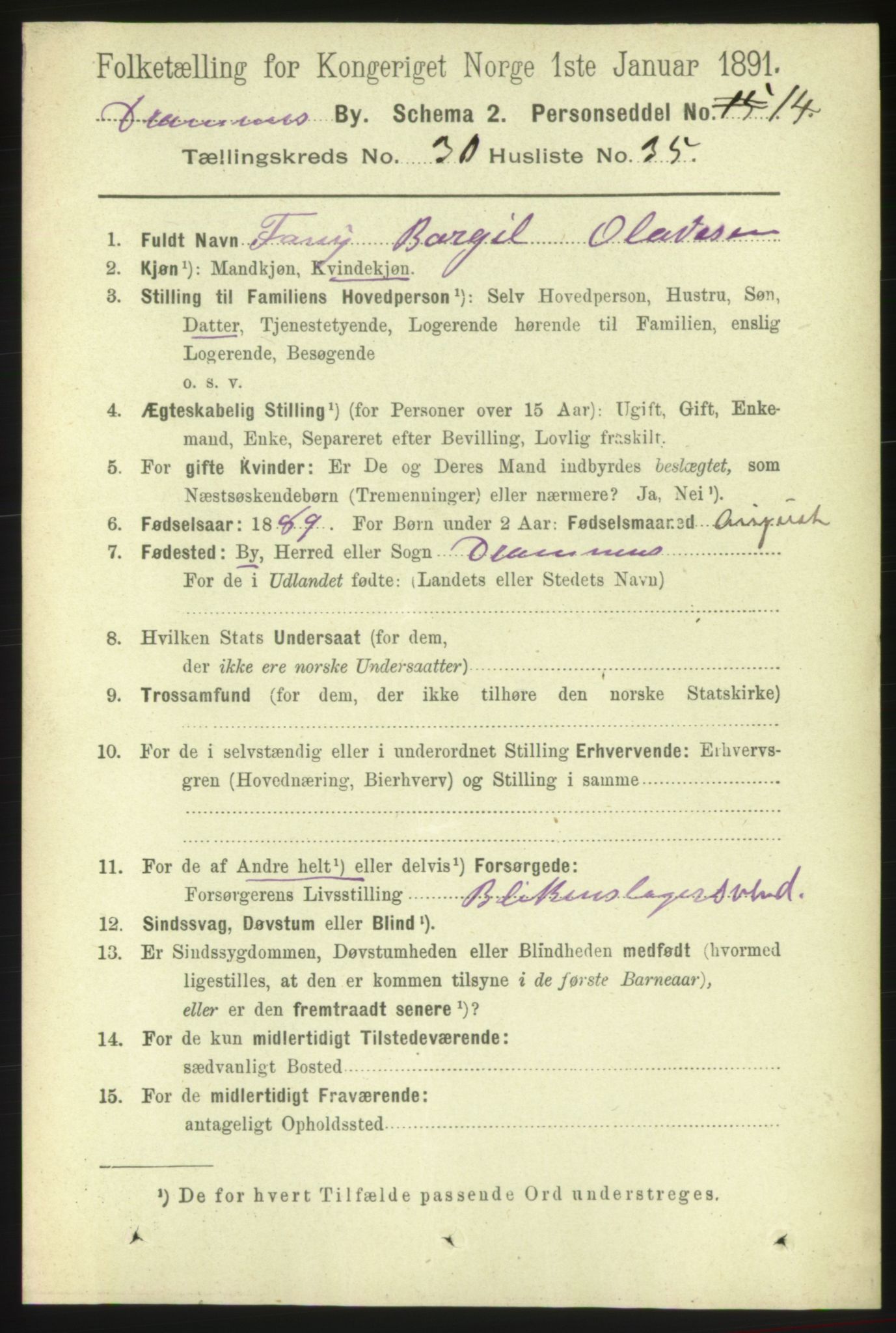 RA, 1891 census for 0602 Drammen, 1891, p. 18563