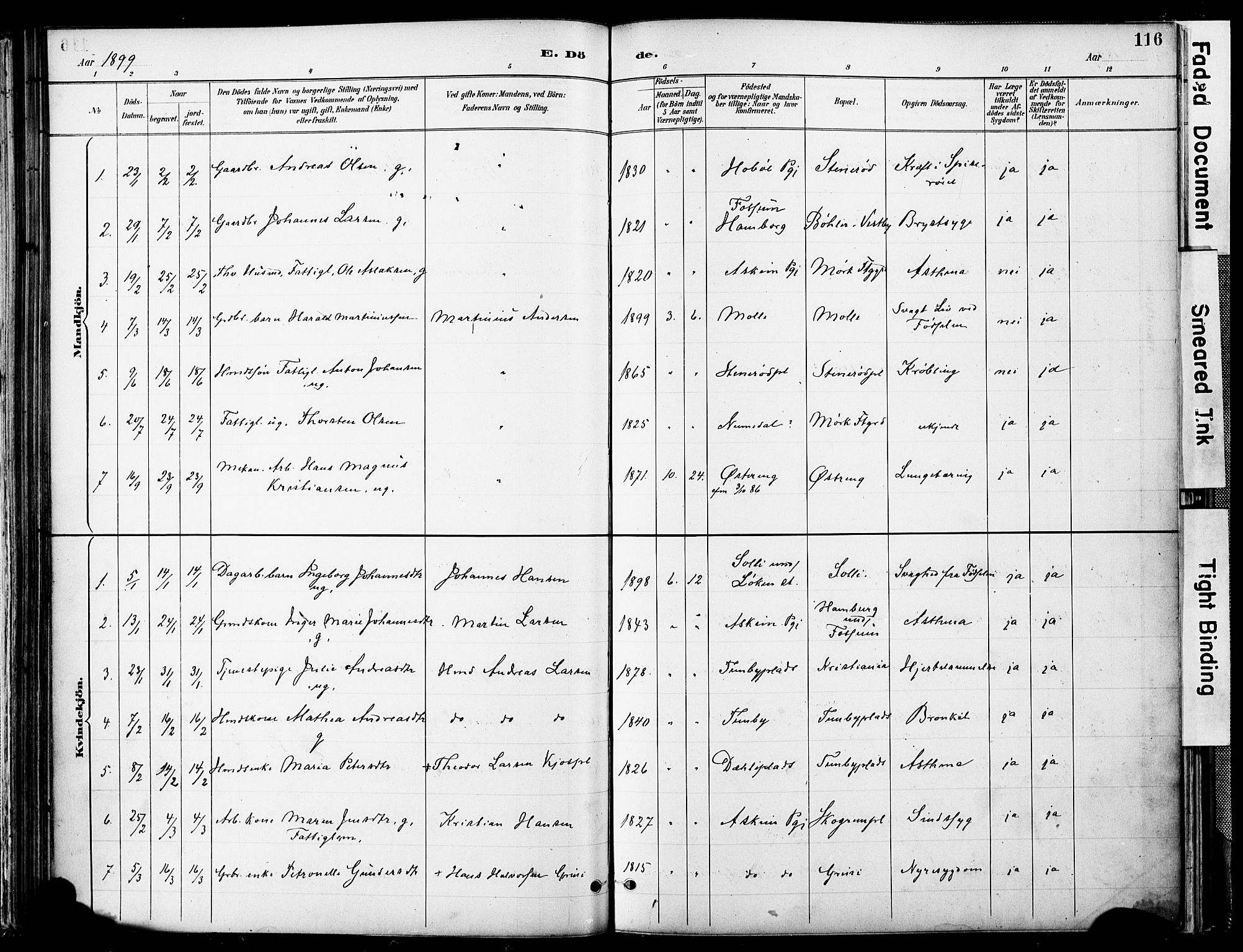 Spydeberg prestekontor Kirkebøker, AV/SAO-A-10924/F/Fa/L0008: Parish register (official) no. I 8, 1886-1900, p. 116