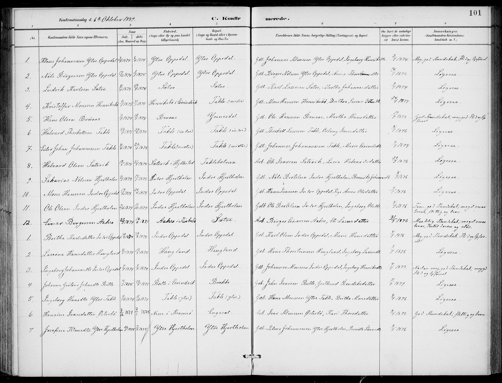 Gulen sokneprestembete, SAB/A-80201/H/Haa/Haac/L0002: Parish register (official) no. C  2, 1882-1914, p. 101