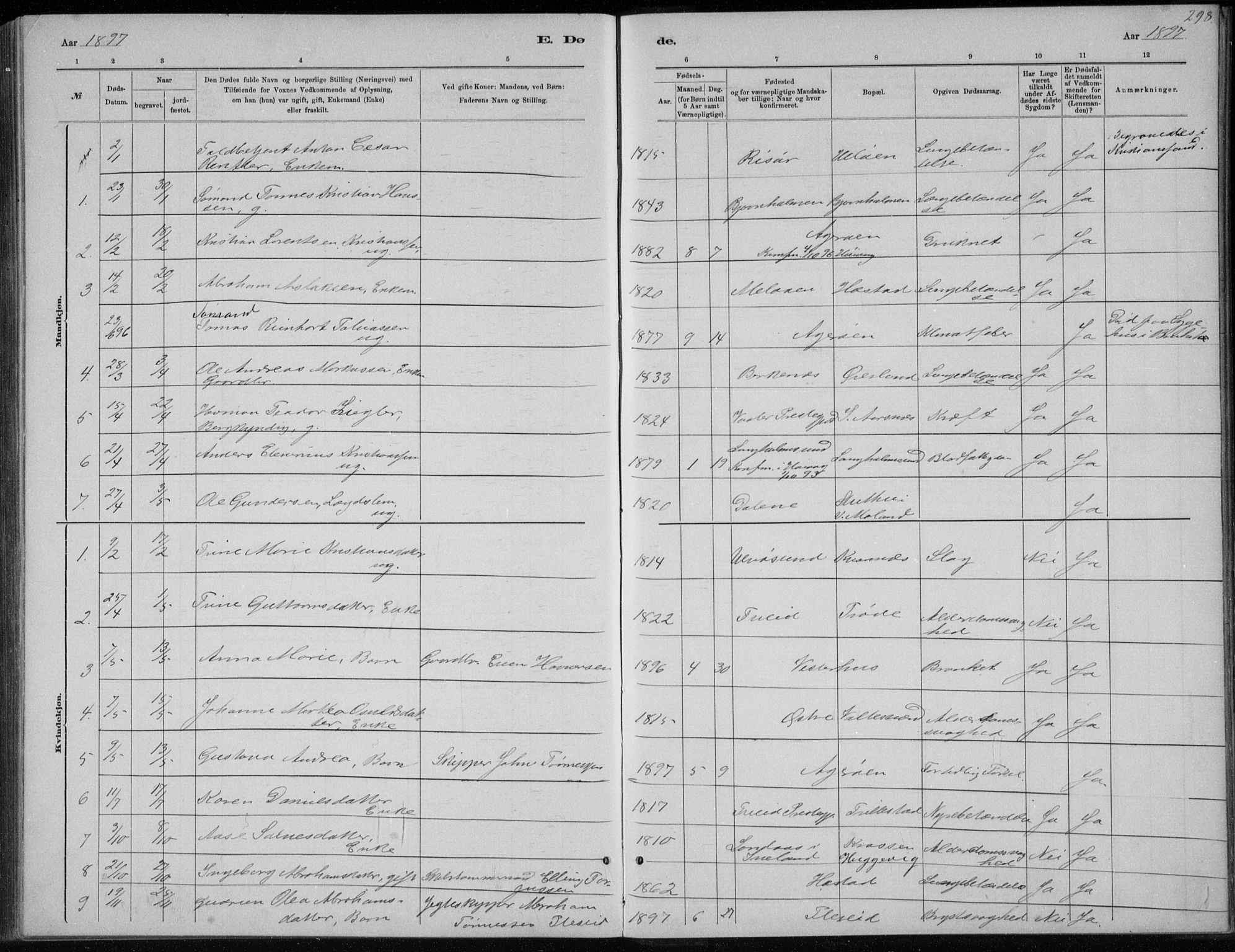 Høvåg sokneprestkontor, SAK/1111-0025/F/Fb/L0004: Parish register (copy) no. B 4, 1883-1898, p. 298