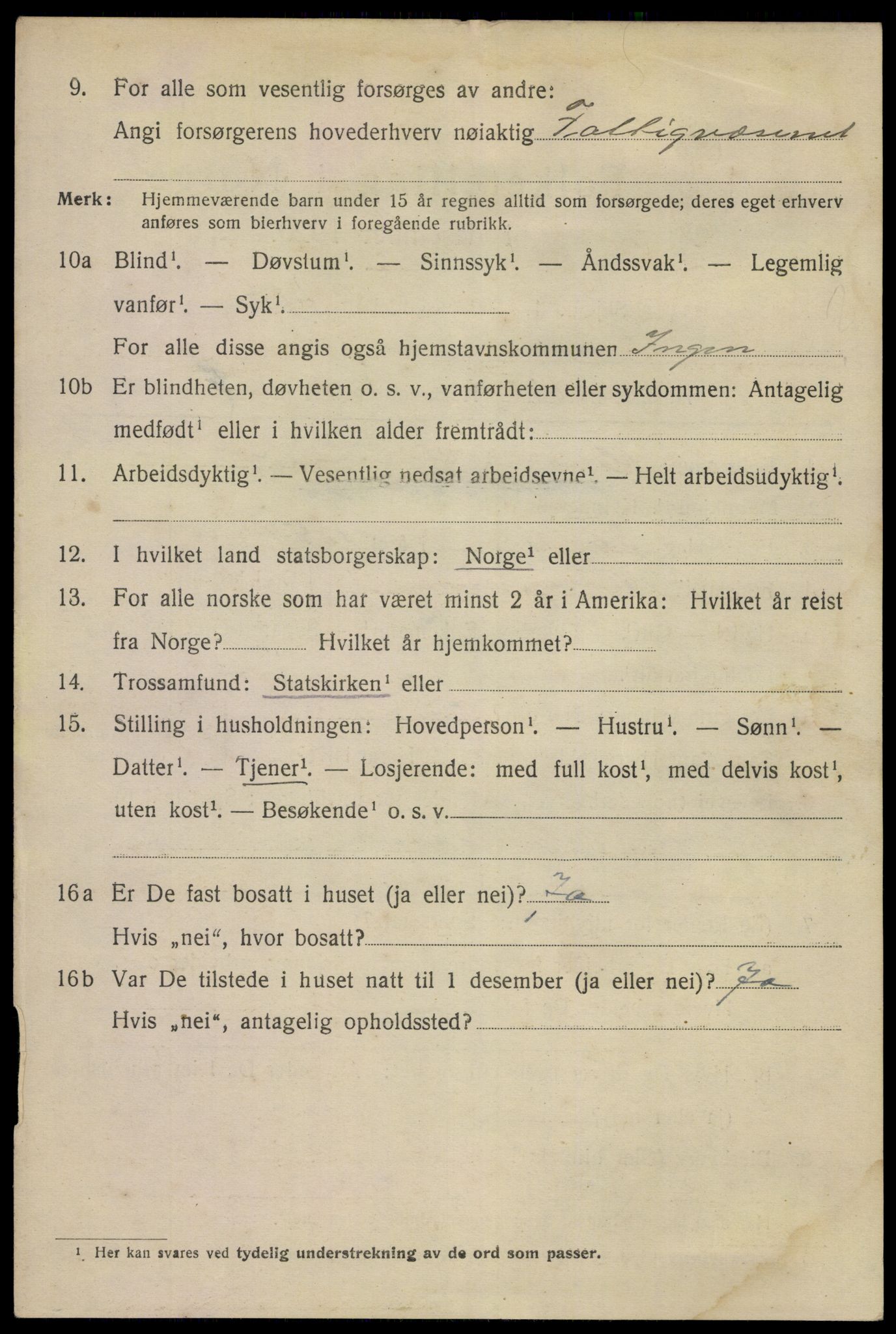 SAKO, 1920 census for Skien, 1920, p. 21825