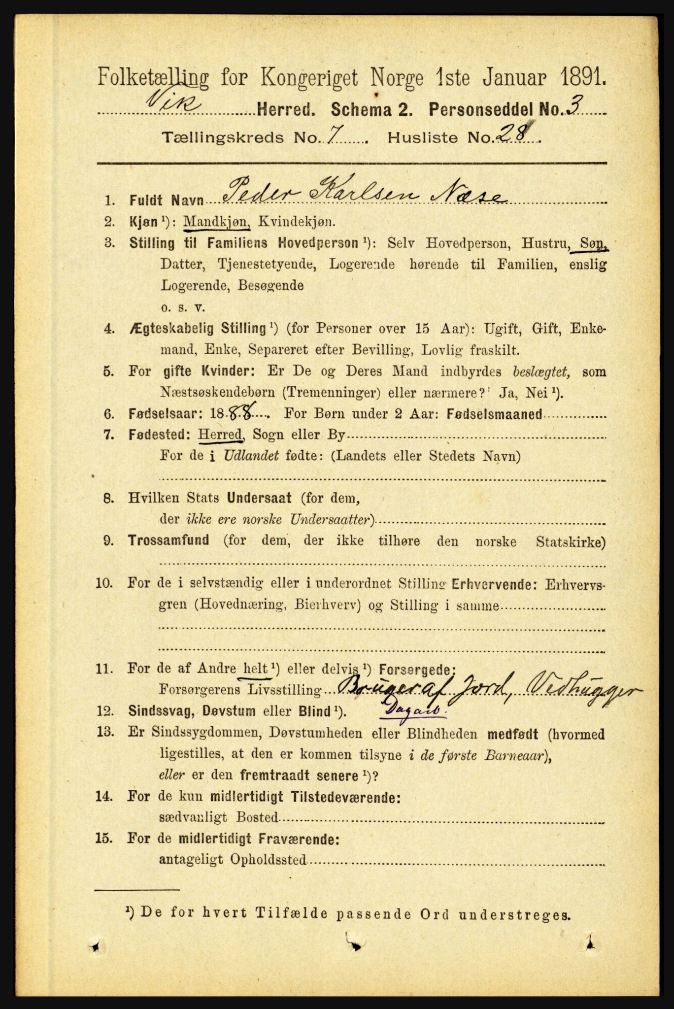 RA, 1891 census for 1417 Vik, 1891, p. 3378