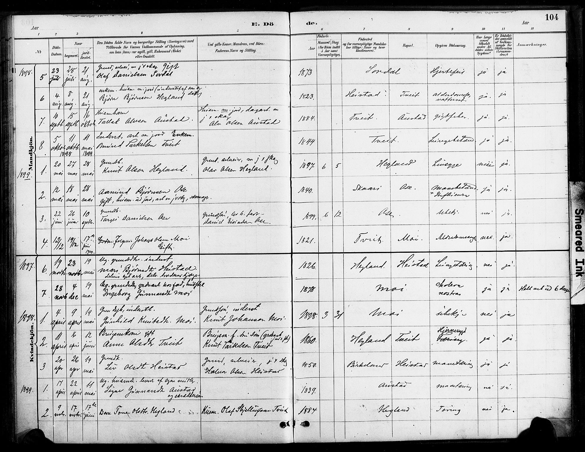 Bygland sokneprestkontor, SAK/1111-0006/F/Fa/Faa/L0001: Parish register (official) no. A 1, 1885-1908, p. 104