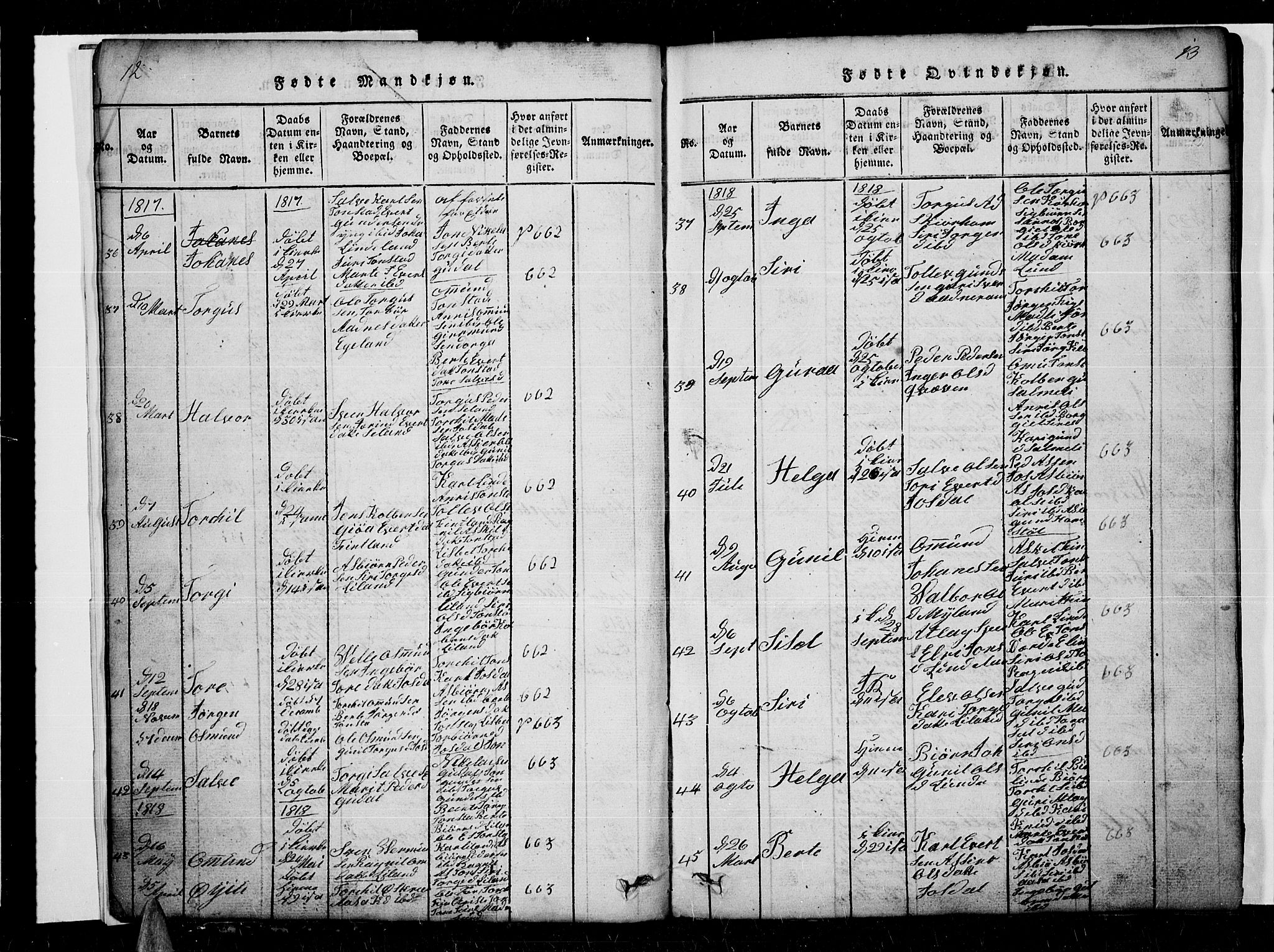 Sirdal sokneprestkontor, SAK/1111-0036/F/Fb/Fbb/L0001: Parish register (copy) no. B 1, 1815-1834, p. 12-13