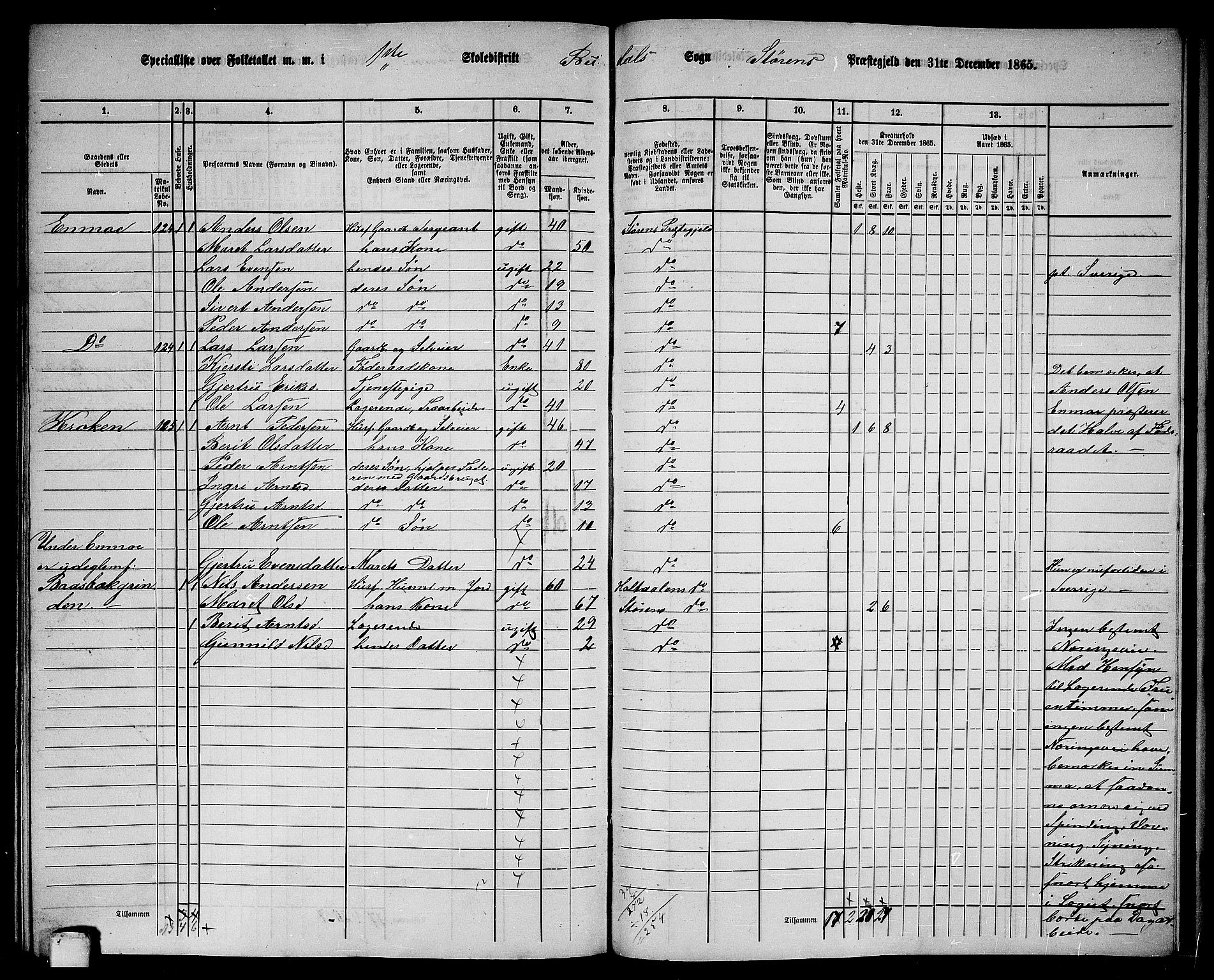 RA, 1865 census for Støren, 1865, p. 306