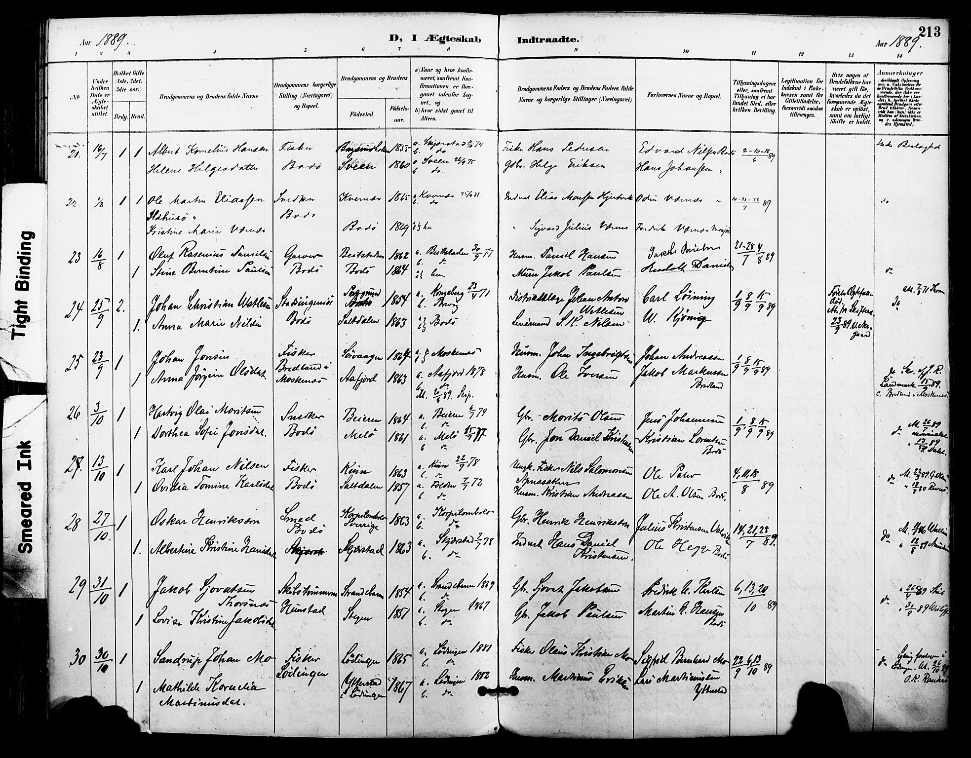 Ministerialprotokoller, klokkerbøker og fødselsregistre - Nordland, SAT/A-1459/801/L0010: Parish register (official) no. 801A10, 1888-1899, p. 213