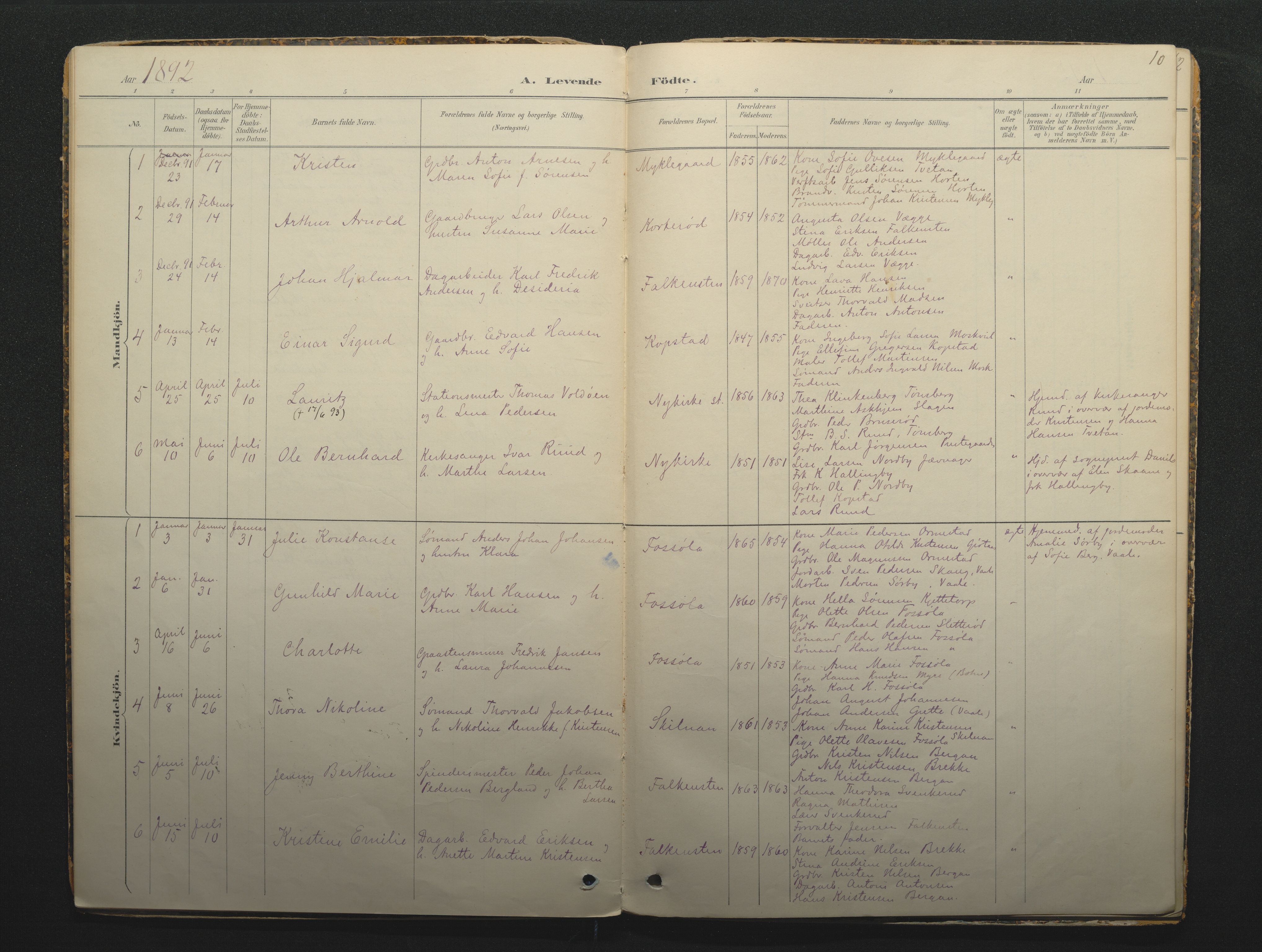 Borre kirkebøker, SAKO/A-338/F/Fc/L0002: Parish register (official) no. III 2, 1888-1896, p. 10