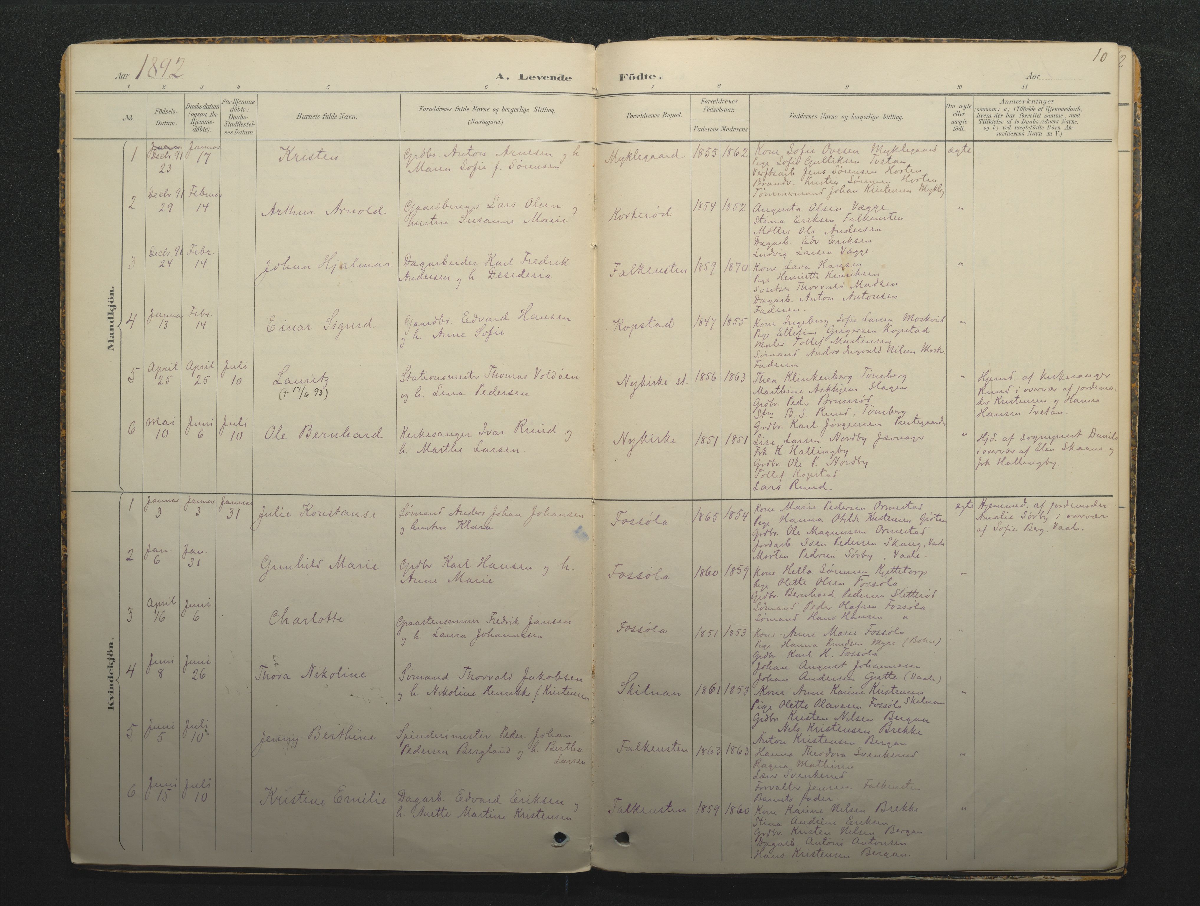 Borre kirkebøker, AV/SAKO-A-338/F/Fc/L0002: Parish register (official) no. III 2, 1888-1896, p. 10