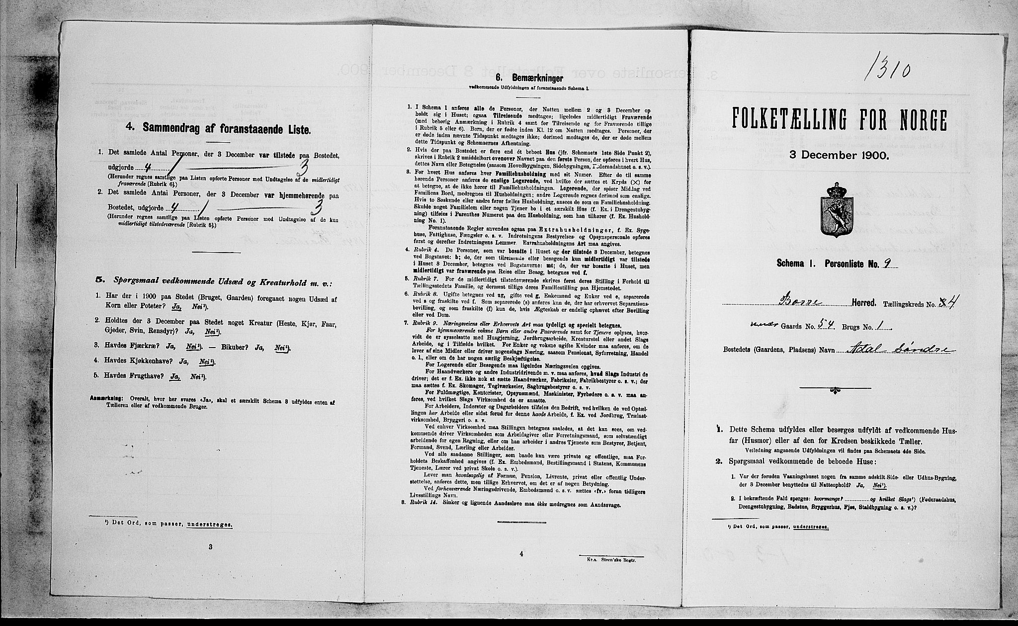 RA, 1900 census for Borre, 1900, p. 613