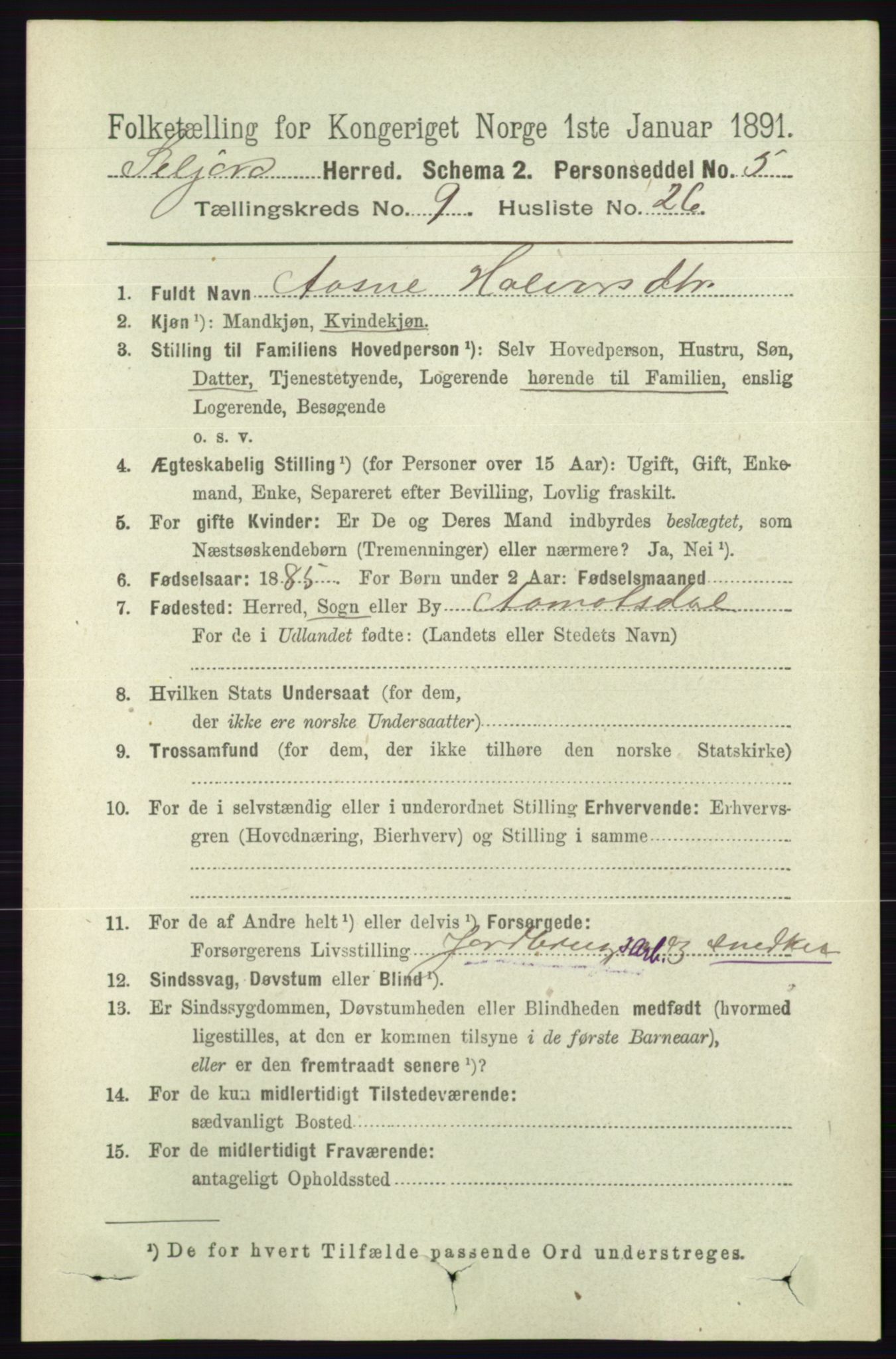 RA, 1891 census for 0828 Seljord, 1891, p. 3316