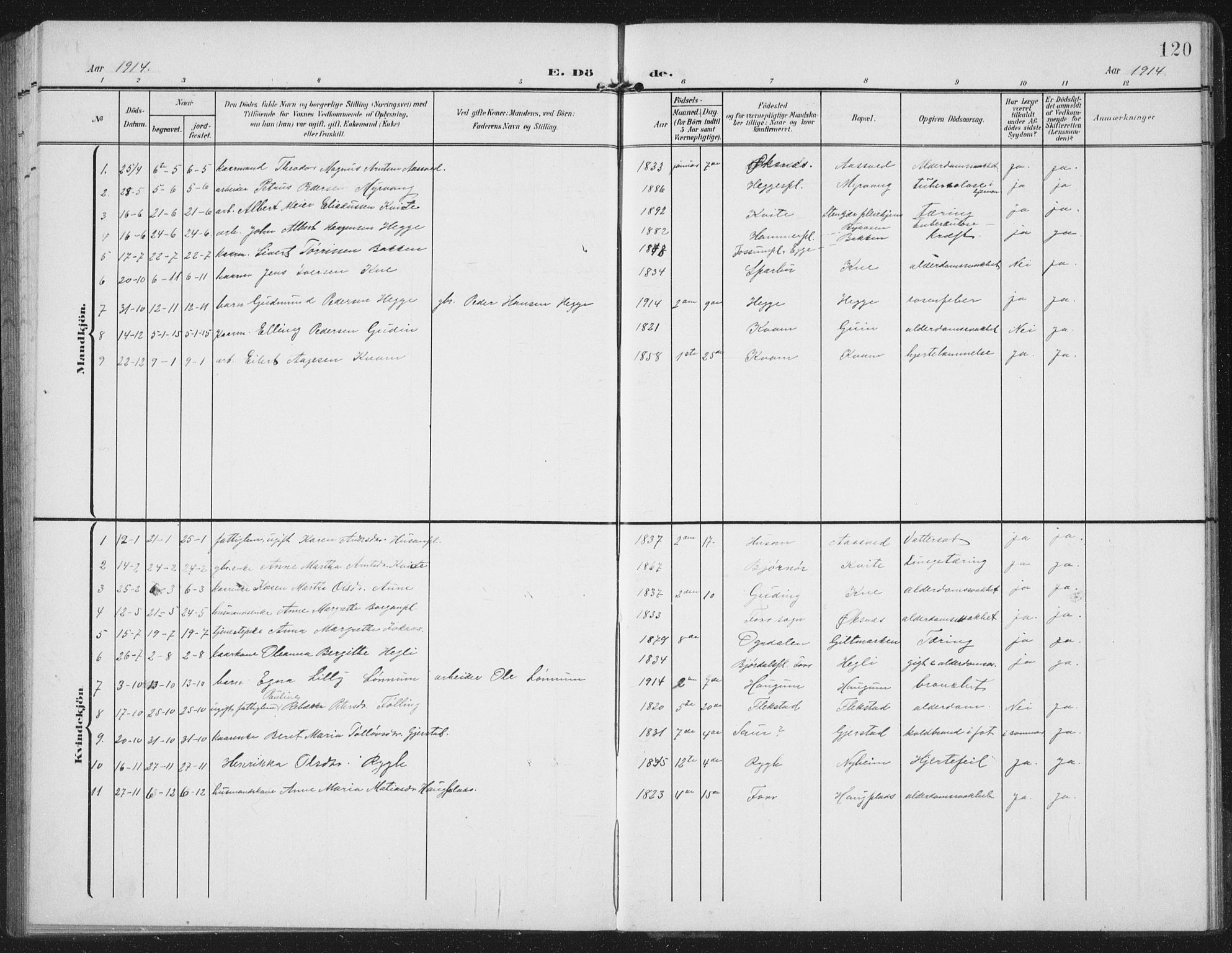 Ministerialprotokoller, klokkerbøker og fødselsregistre - Nord-Trøndelag, SAT/A-1458/747/L0460: Parish register (copy) no. 747C02, 1908-1939, p. 120