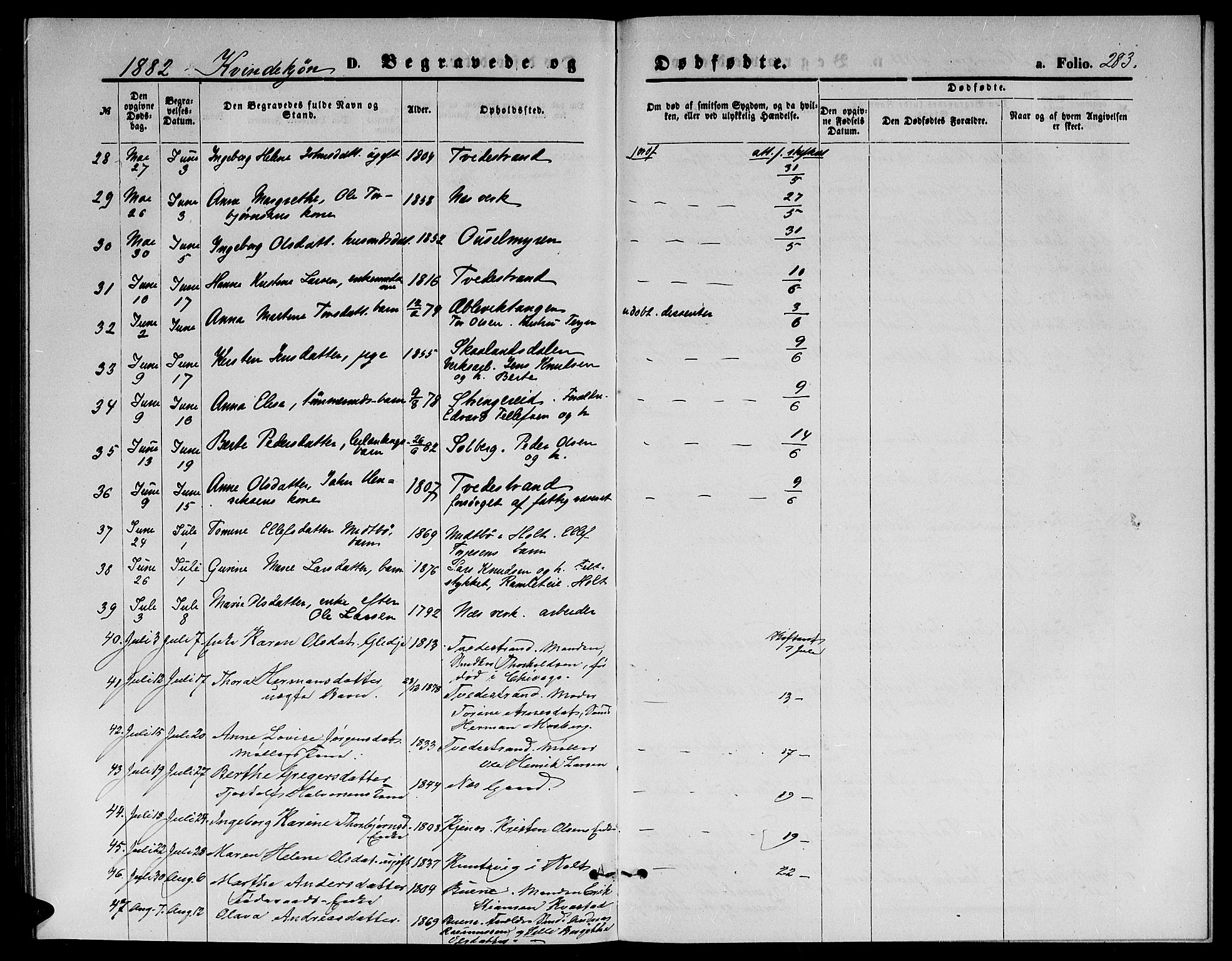 Holt sokneprestkontor, AV/SAK-1111-0021/F/Fb/L0009: Parish register (copy) no. B 9, 1871-1883, p. 283