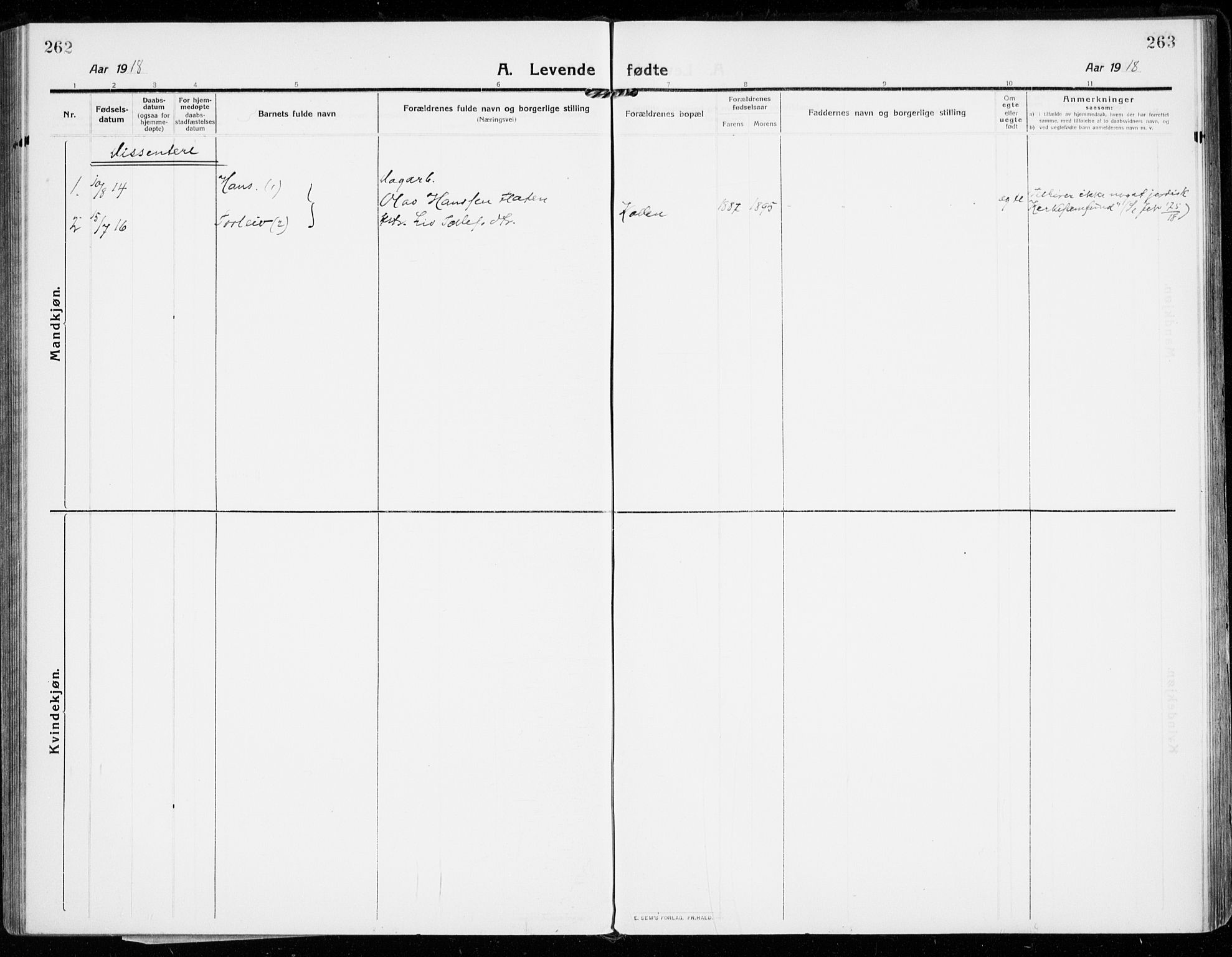 Strømsgodset kirkebøker, AV/SAKO-A-324/F/Fa/L0002: Parish register (official) no. 2, 1910-1920, p. 262-263