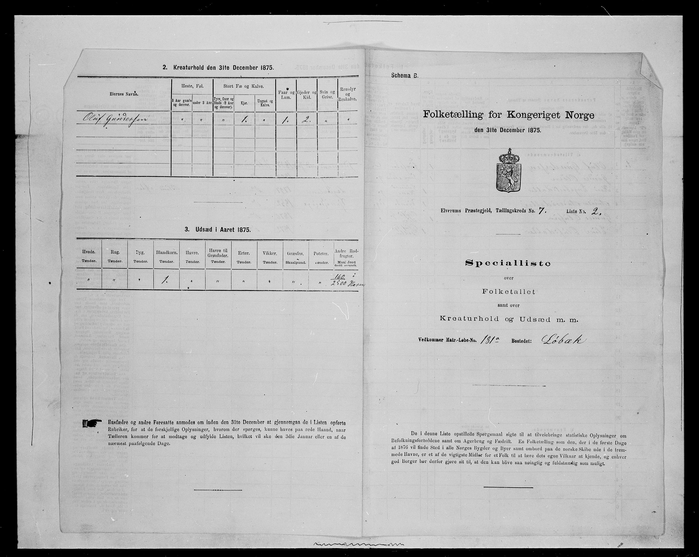 SAH, 1875 census for 0427P Elverum, 1875, p. 1486