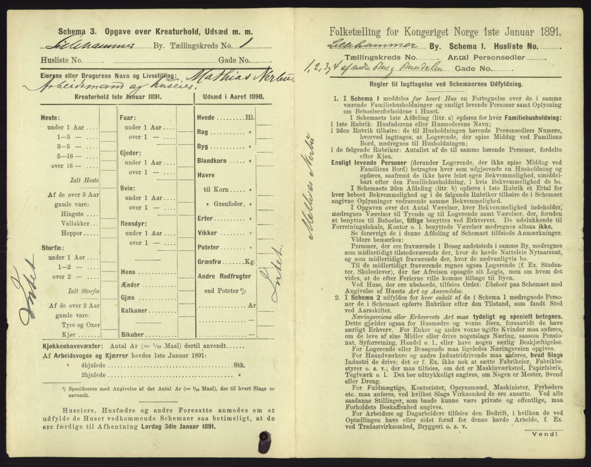 RA, 1891 census for 0501 Lillehammer, 1891, p. 207