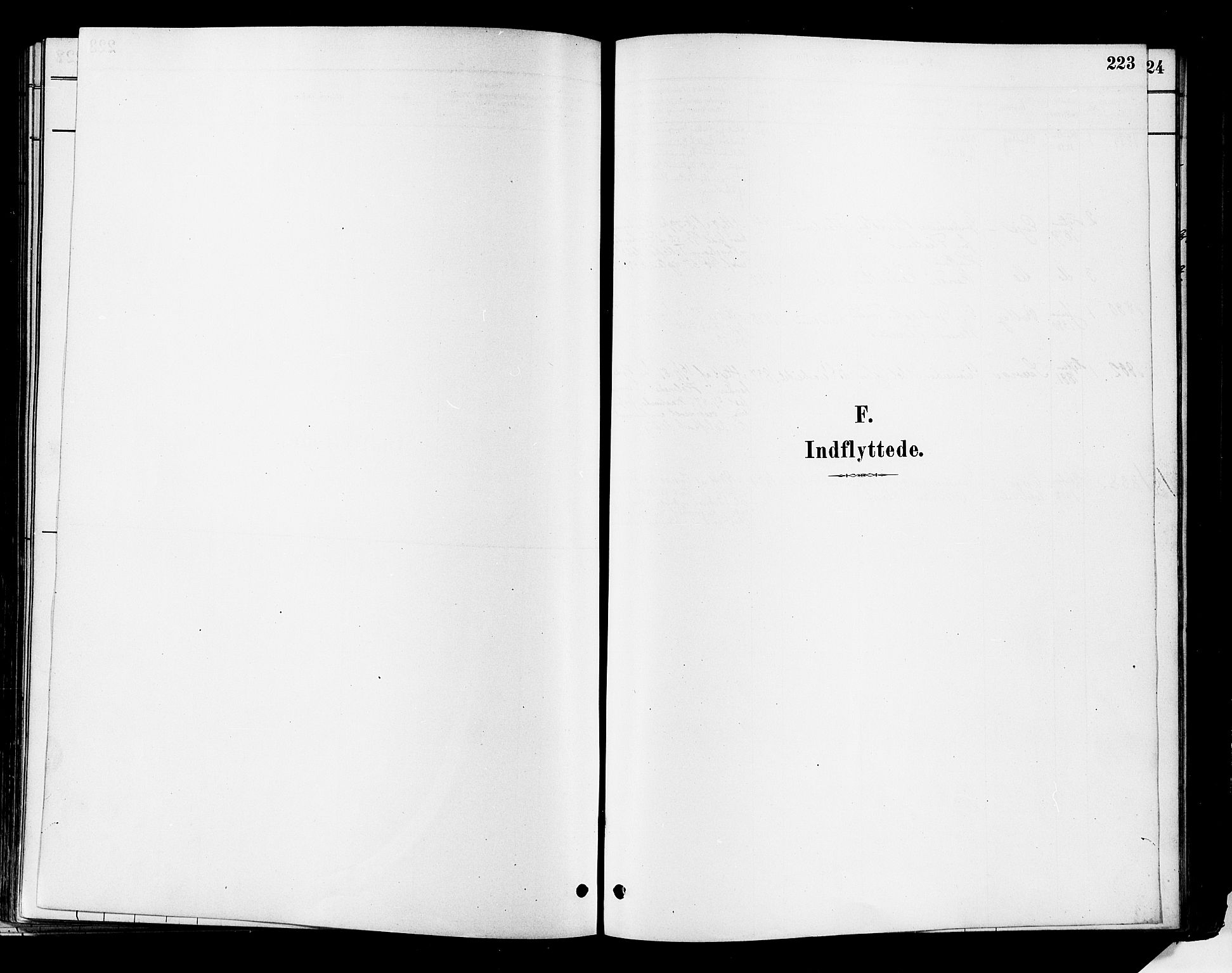 Flesberg kirkebøker, SAKO/A-18/F/Fa/L0008: Parish register (official) no. I 8, 1879-1899, p. 223