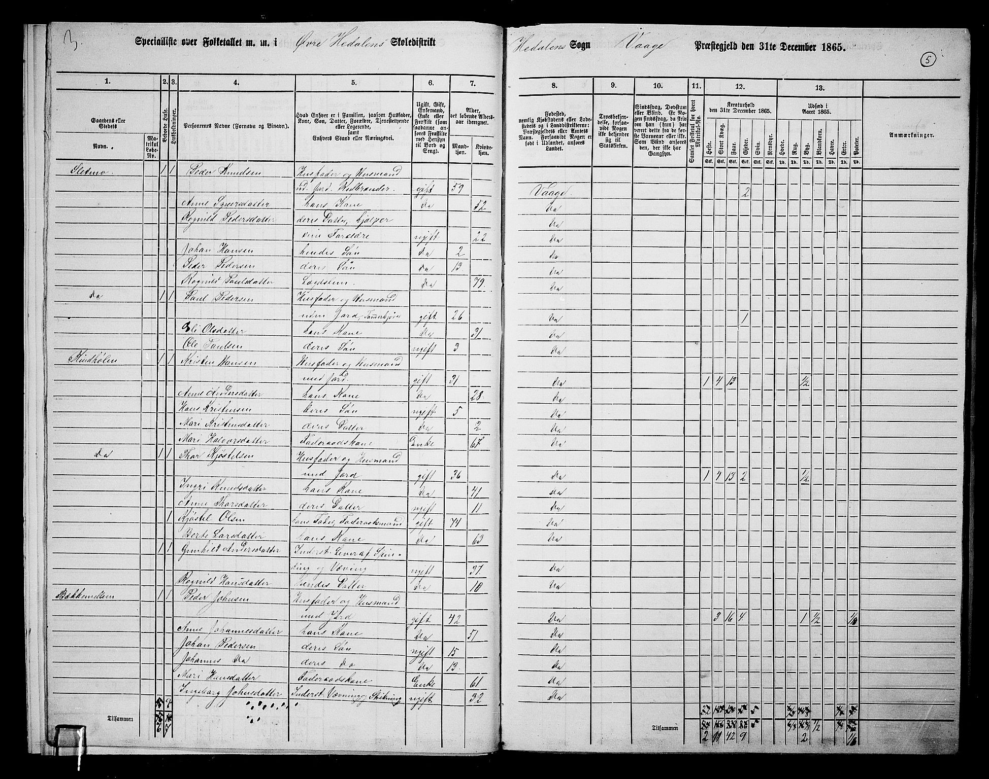 RA, 1865 census for Vågå, 1865, p. 172