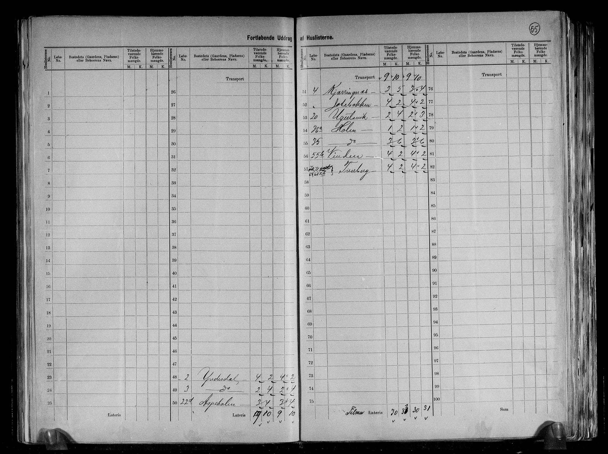 RA, 1891 census for 1425 Hafslo, 1891, p. 17