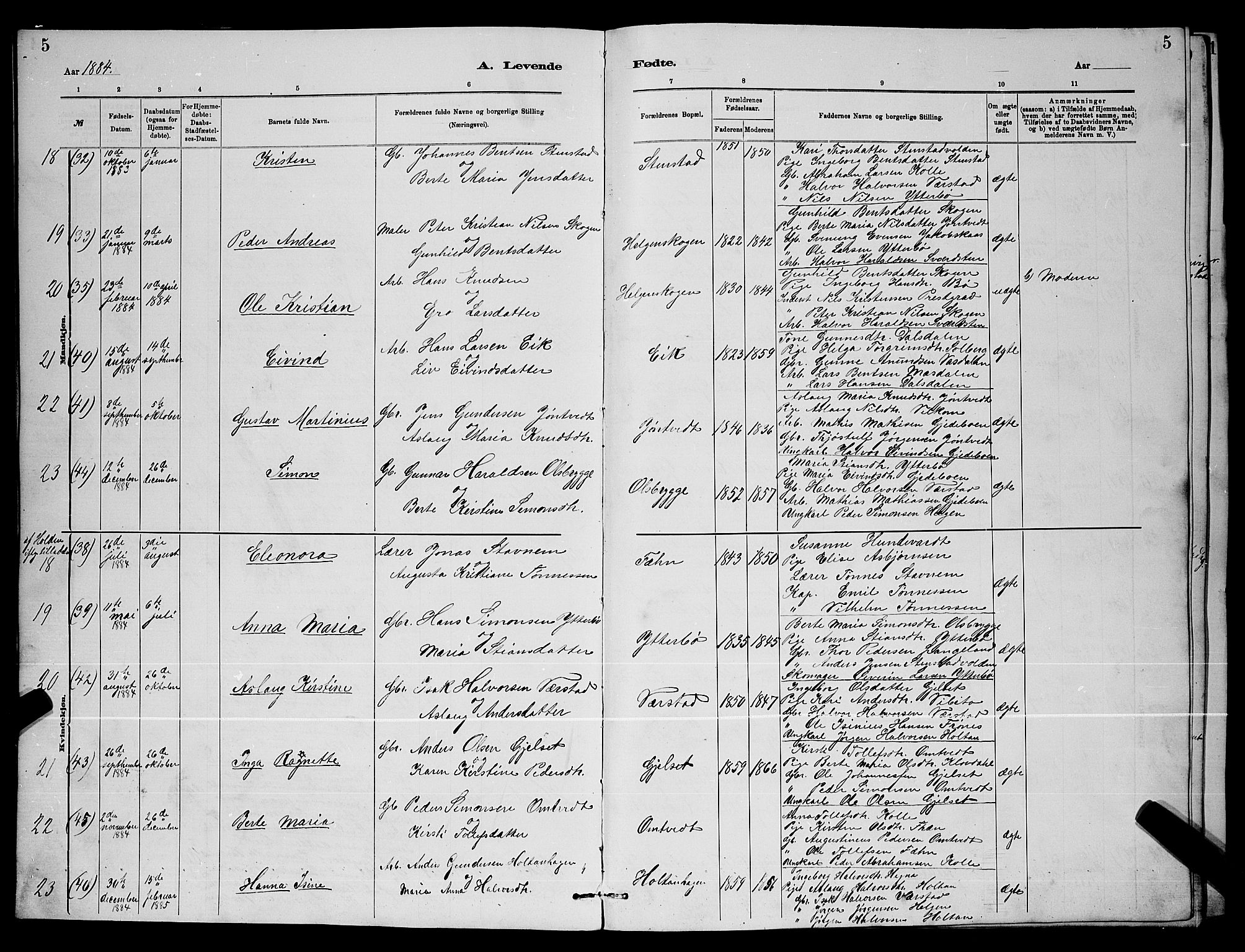 Holla kirkebøker, SAKO/A-272/G/Gb/L0001: Parish register (copy) no. II 1, 1882-1897, p. 5