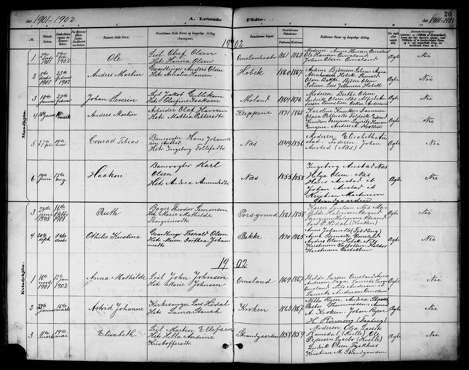 Brunlanes kirkebøker, SAKO/A-342/G/Gc/L0002: Parish register (copy) no. III 2, 1891-1922, p. 20