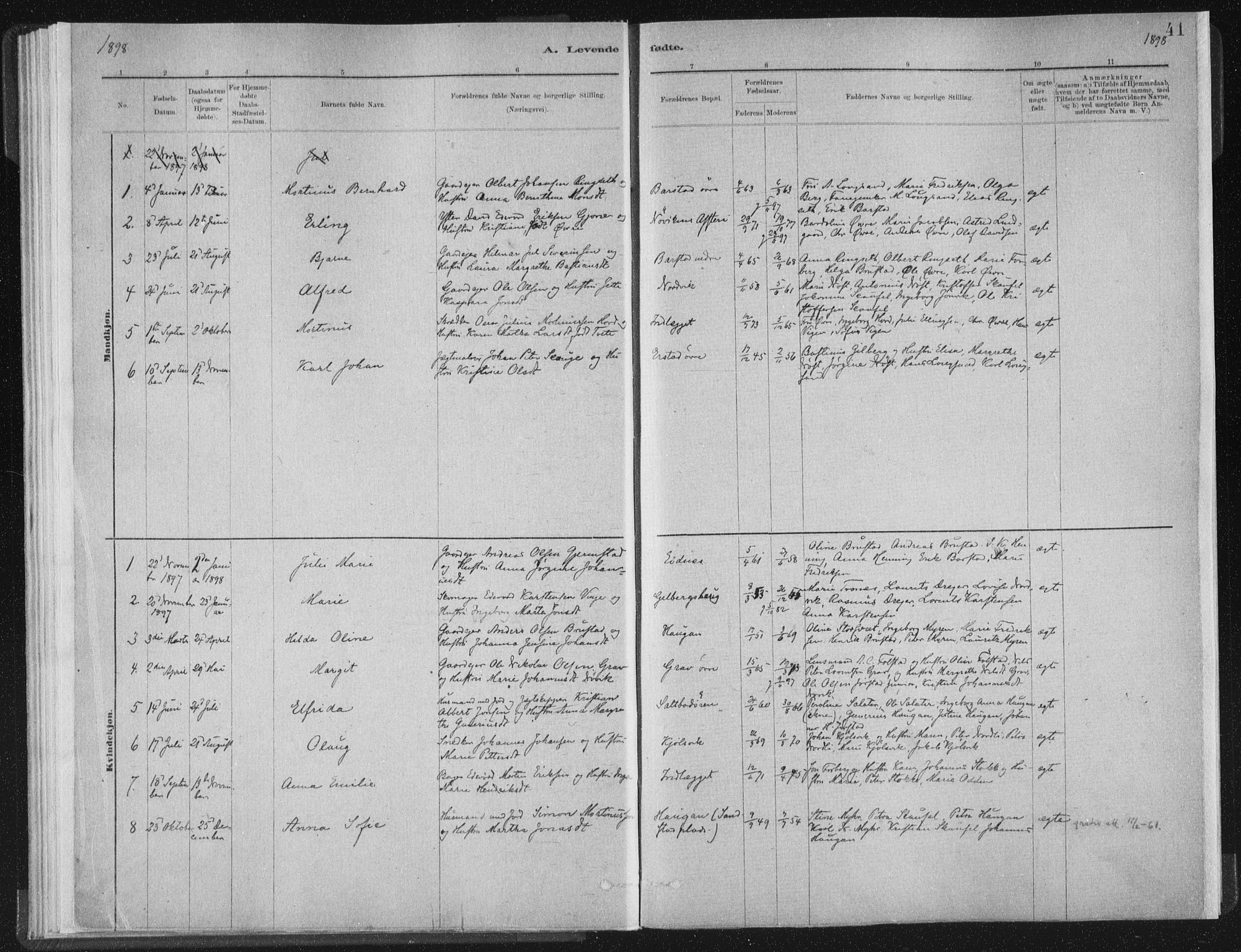 Ministerialprotokoller, klokkerbøker og fødselsregistre - Nord-Trøndelag, SAT/A-1458/722/L0220: Parish register (official) no. 722A07, 1881-1908, p. 41