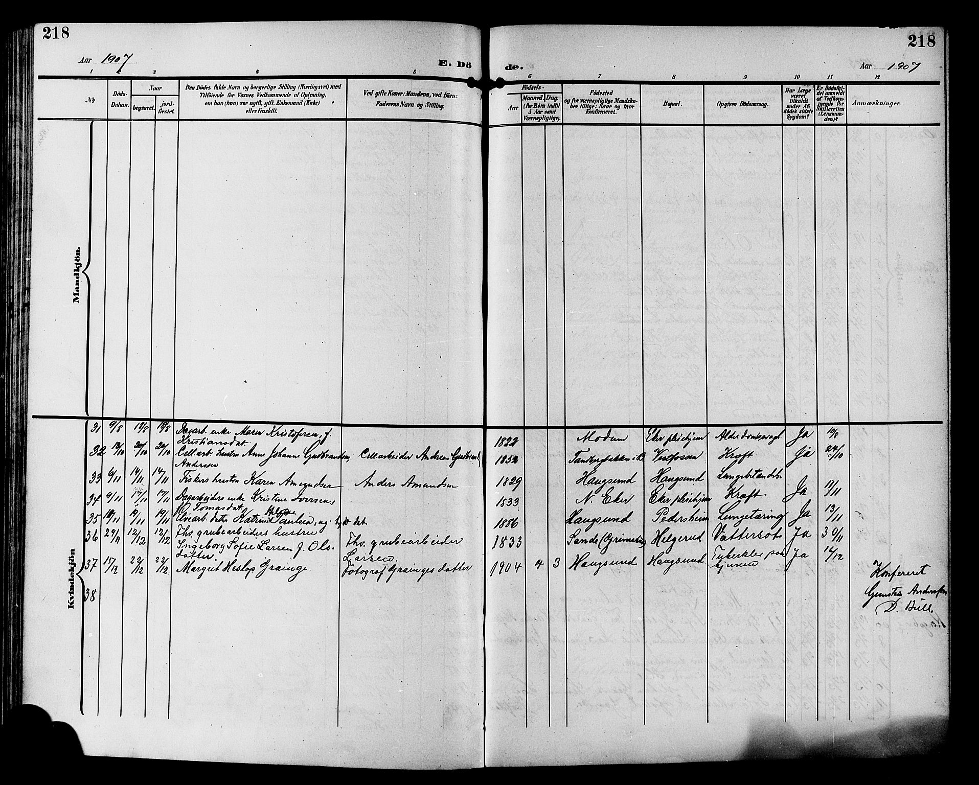 Eiker kirkebøker, AV/SAKO-A-4/G/Ga/L0008: Parish register (copy) no. I 8, 1903-1914, p. 218