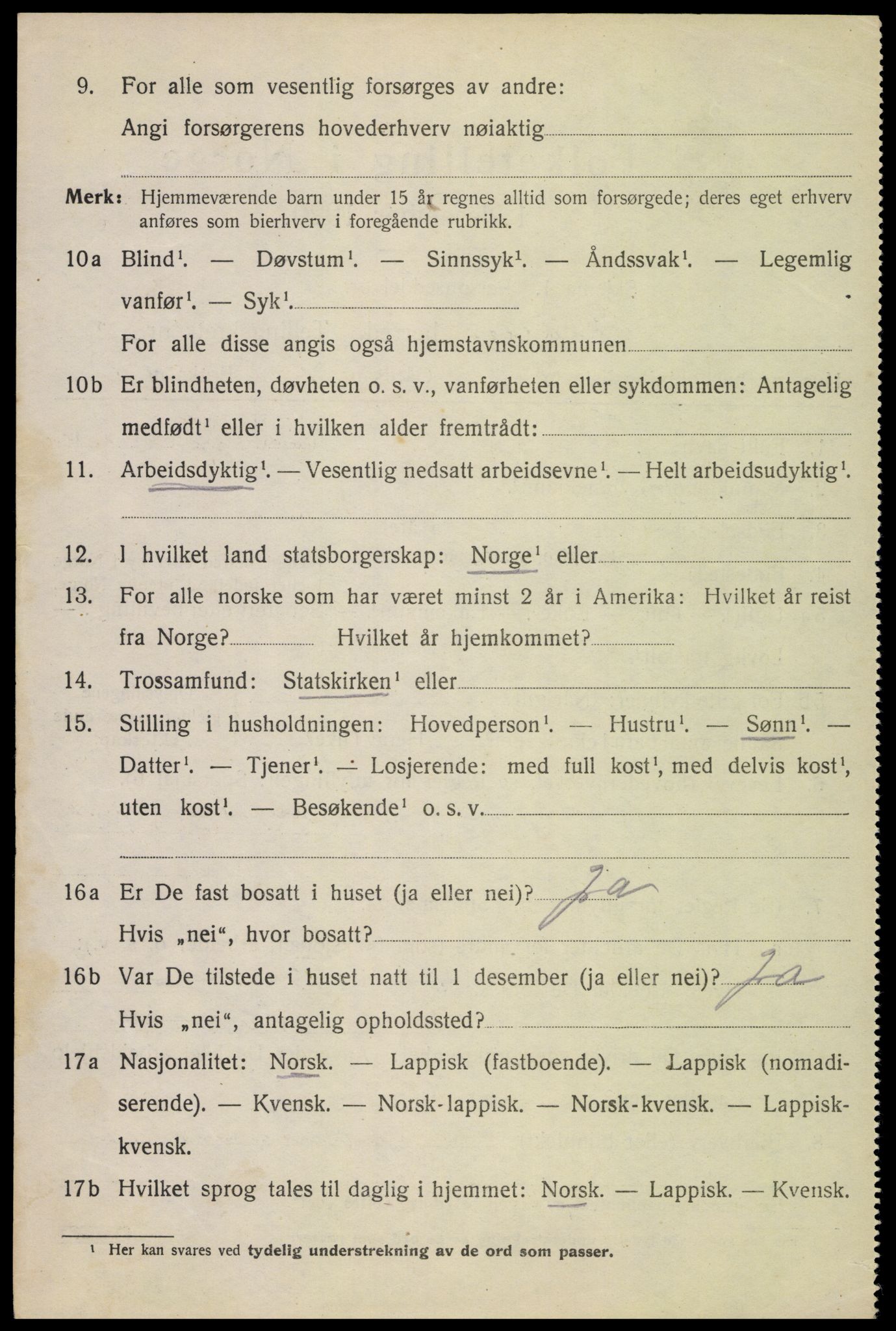 SAT, 1920 census for Bodin, 1920, p. 2113