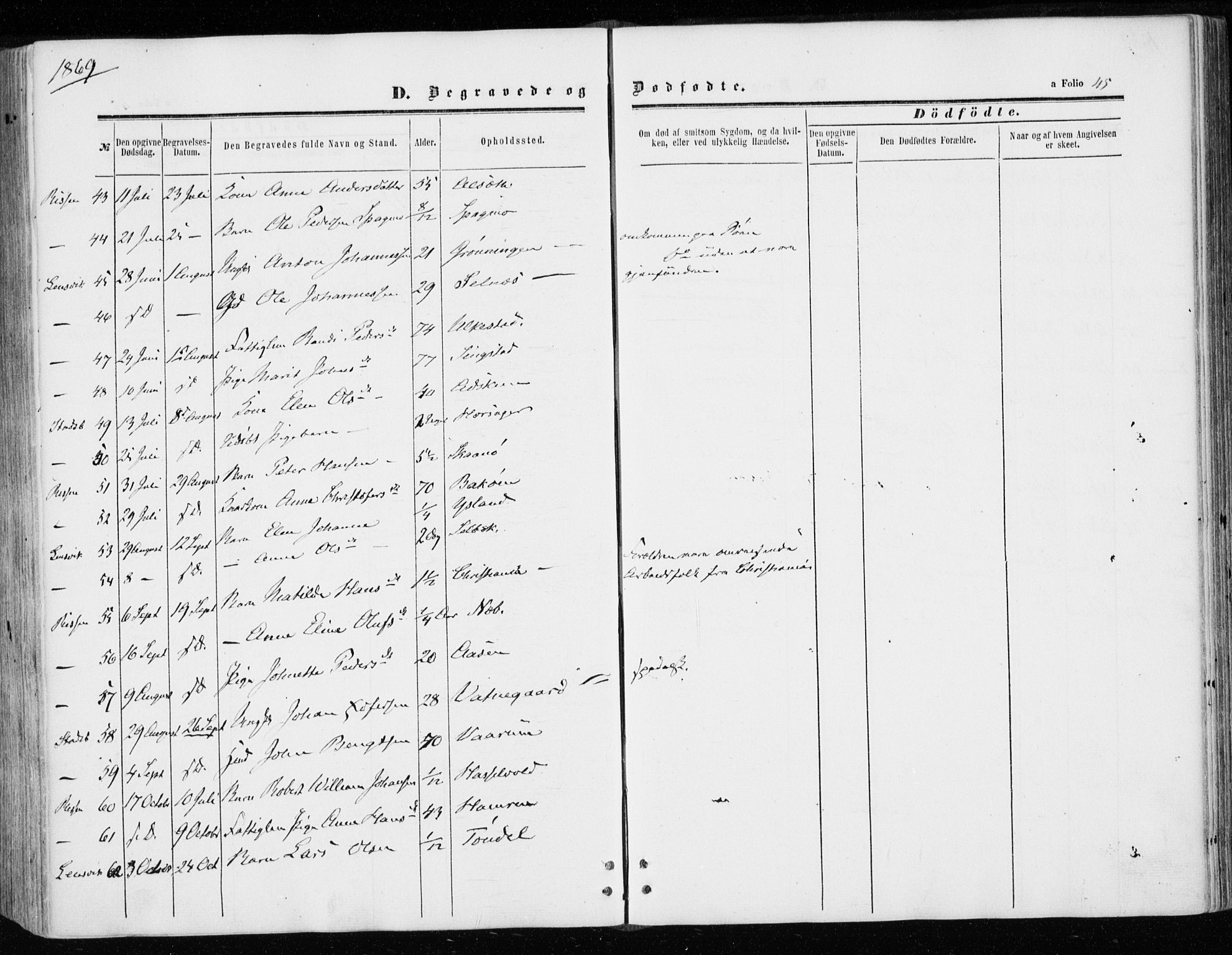 Ministerialprotokoller, klokkerbøker og fødselsregistre - Sør-Trøndelag, AV/SAT-A-1456/646/L0612: Parish register (official) no. 646A10, 1858-1869, p. 45