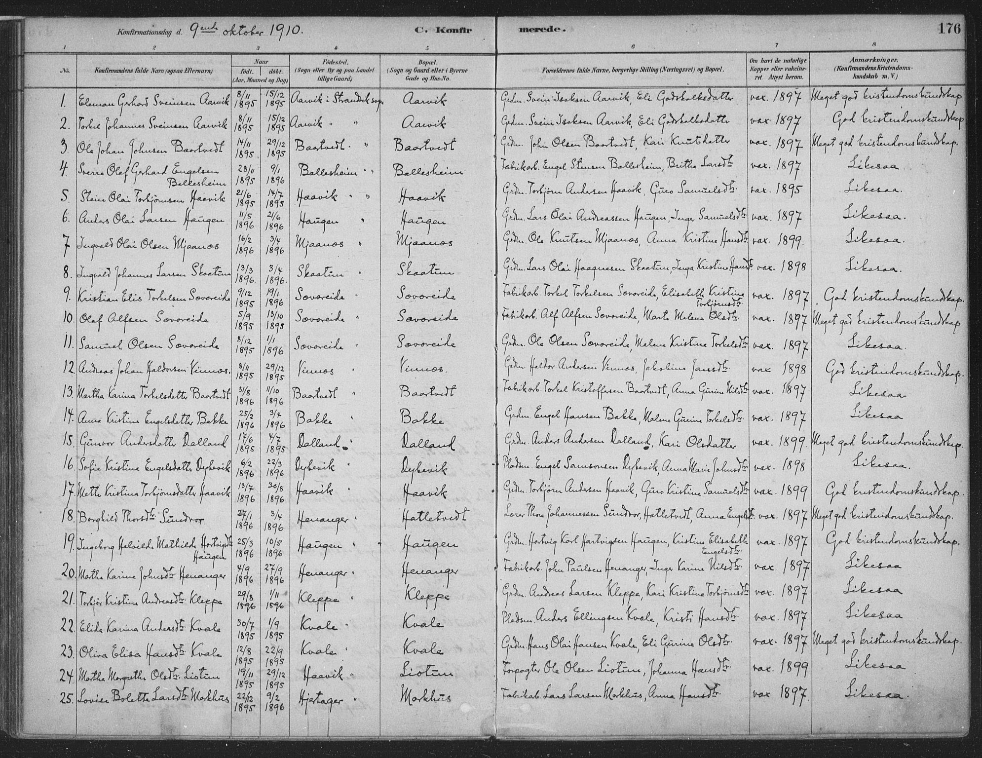 Fusa sokneprestembete, SAB/A-75401/H/Haa: Parish register (official) no. D 1, 1880-1938, p. 176