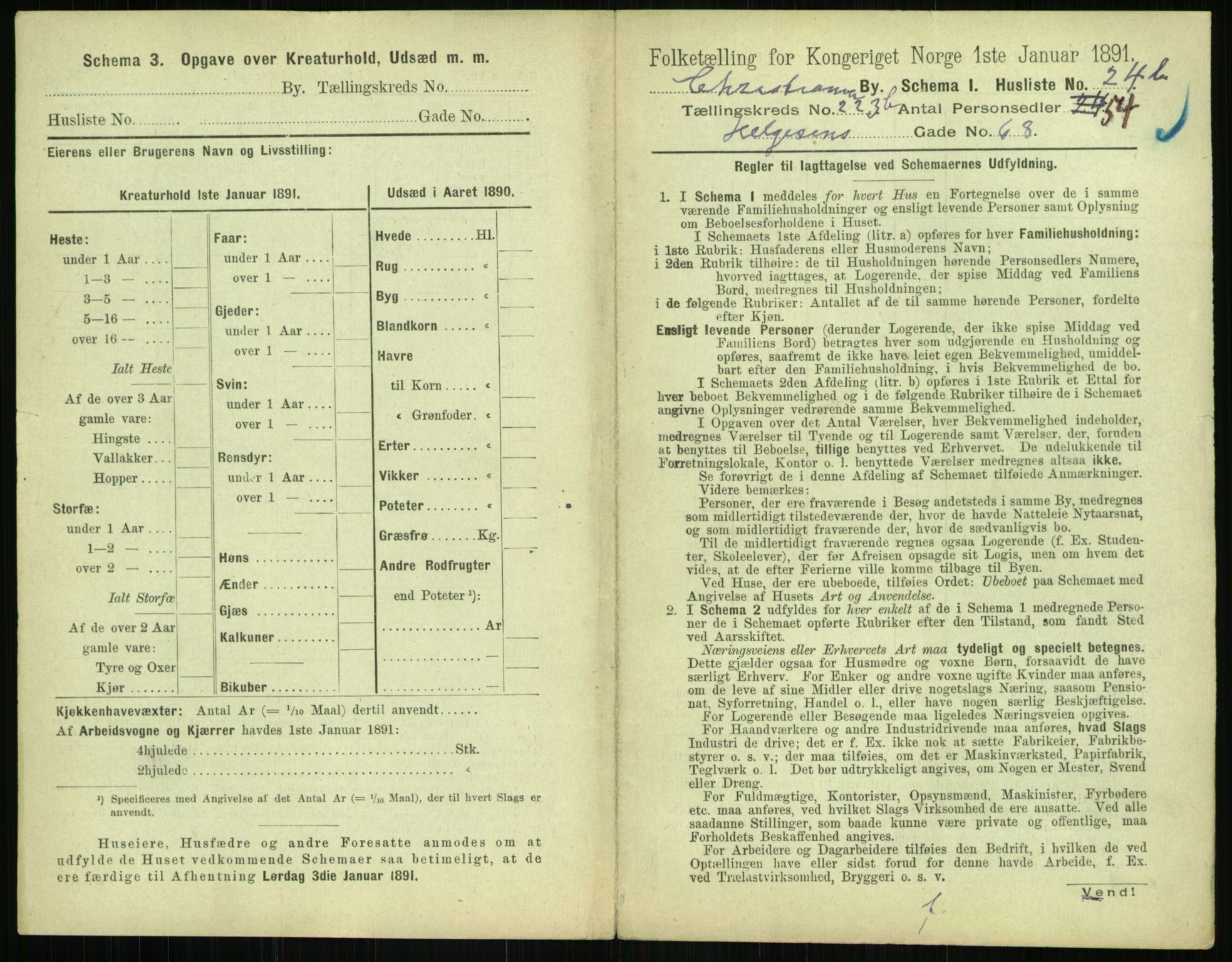 RA, 1891 census for 0301 Kristiania, 1891, p. 141999