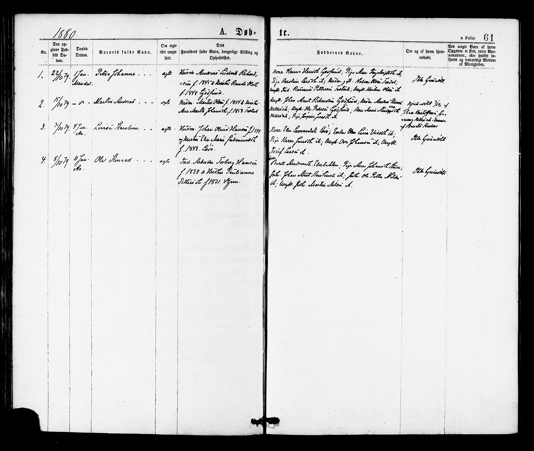 Ministerialprotokoller, klokkerbøker og fødselsregistre - Sør-Trøndelag, SAT/A-1456/655/L0679: Parish register (official) no. 655A08, 1873-1879, p. 61