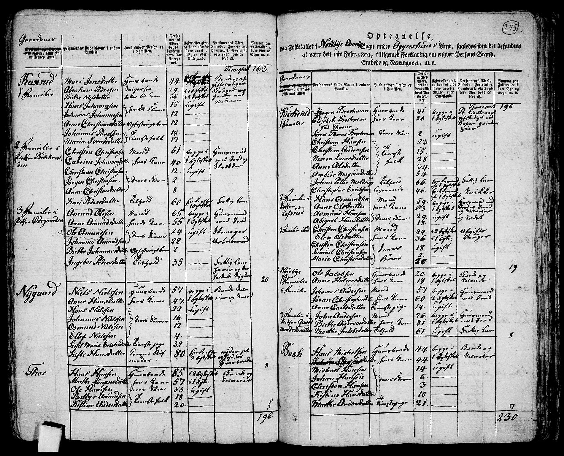 RA, 1801 census for 0214P Ås, 1801, p. 244b-245a