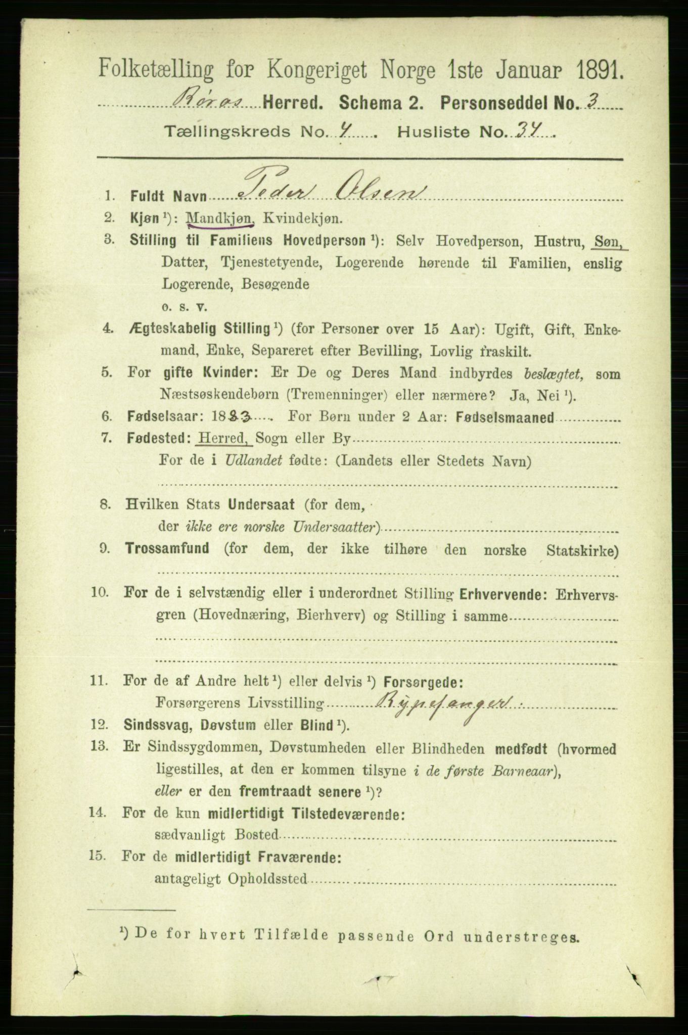 RA, 1891 census for 1640 Røros, 1891, p. 995