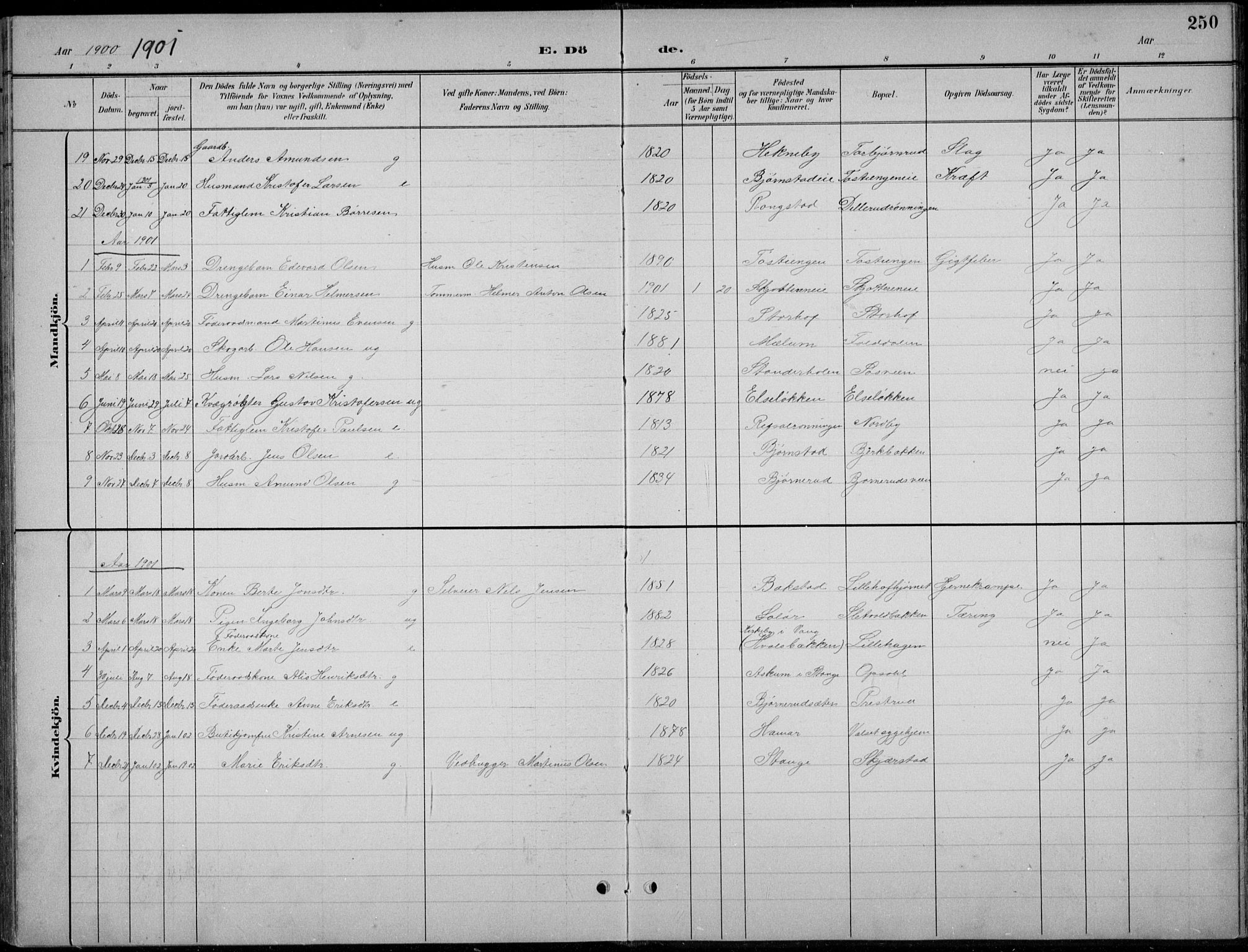 Romedal prestekontor, AV/SAH-PREST-004/L/L0013: Parish register (copy) no. 13, 1896-1937, p. 250