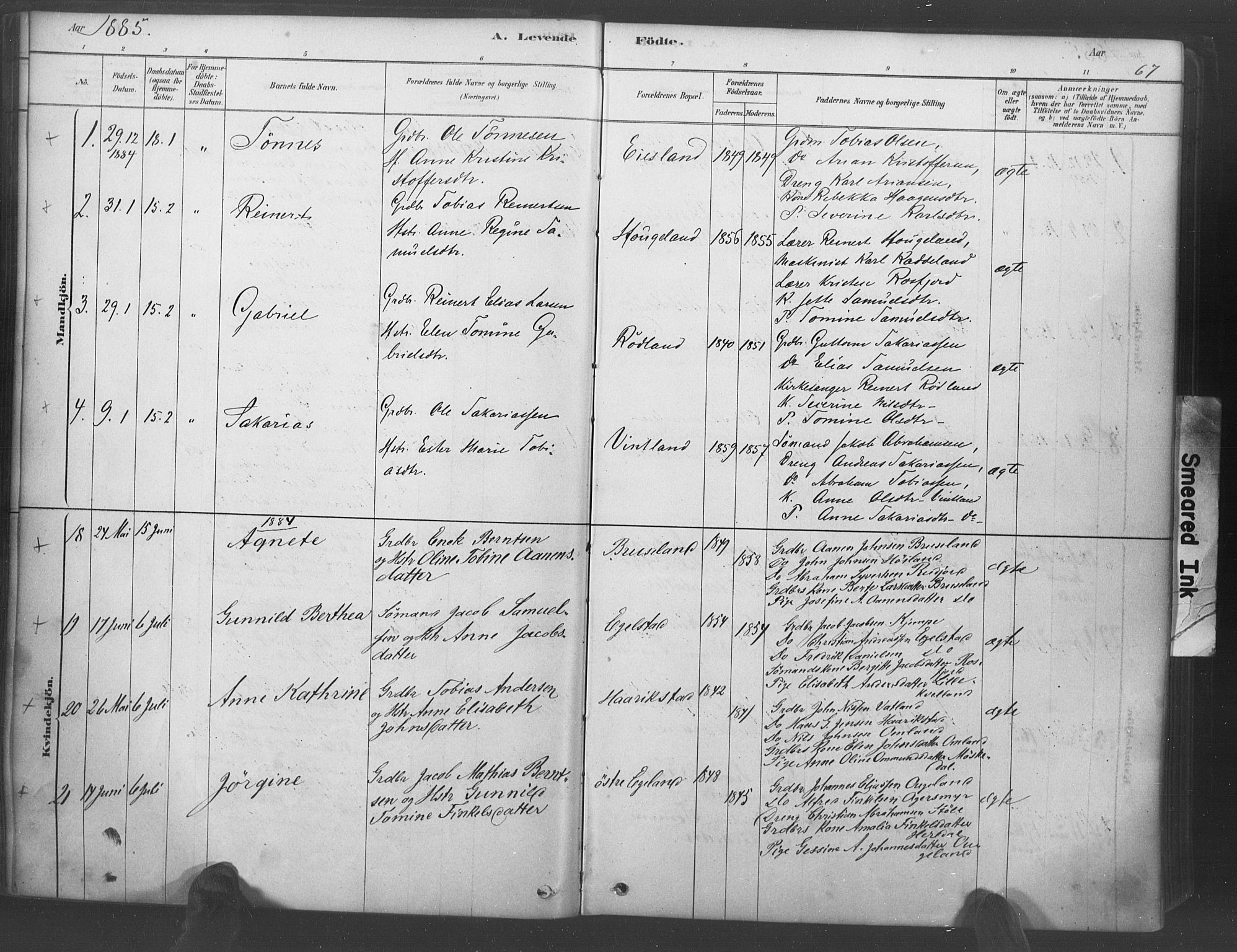 Lyngdal sokneprestkontor, SAK/1111-0029/F/Fa/Fac/L0011: Parish register (official) no. A 11, 1878-1893, p. 67