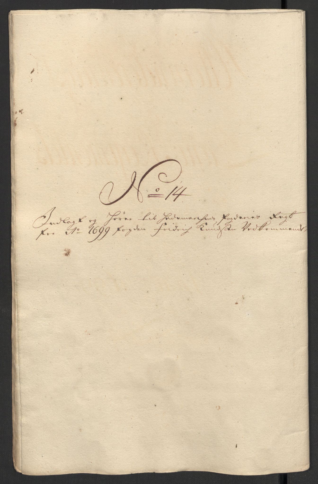 Rentekammeret inntil 1814, Reviderte regnskaper, Fogderegnskap, AV/RA-EA-4092/R16/L1038: Fogderegnskap Hedmark, 1699, p. 165