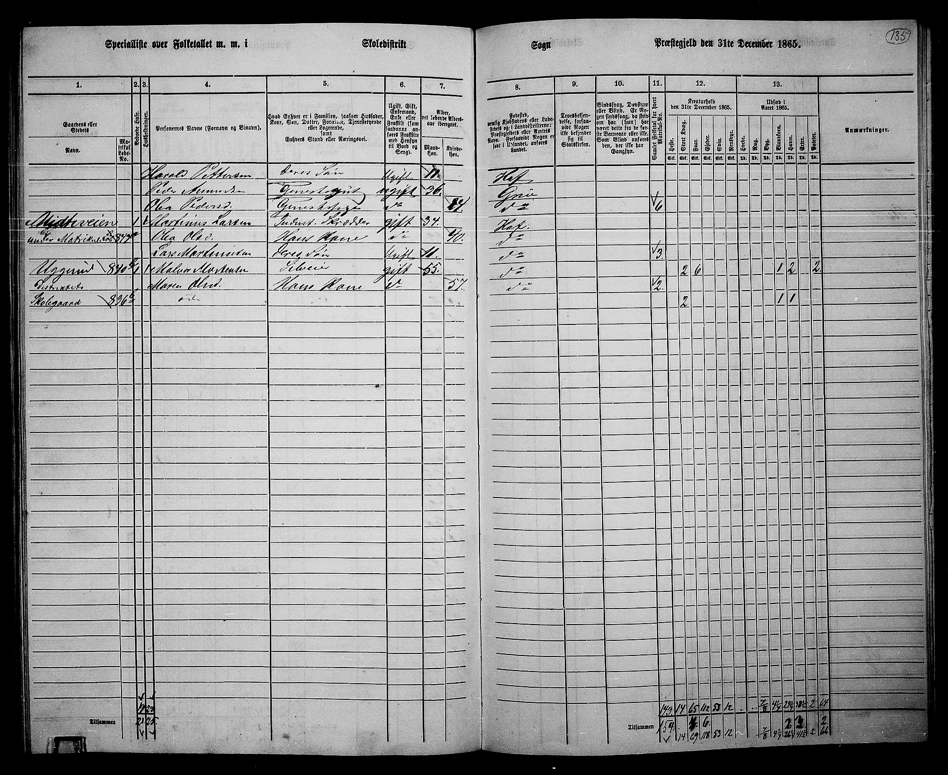 RA, 1865 census for Hof, 1865, p. 127