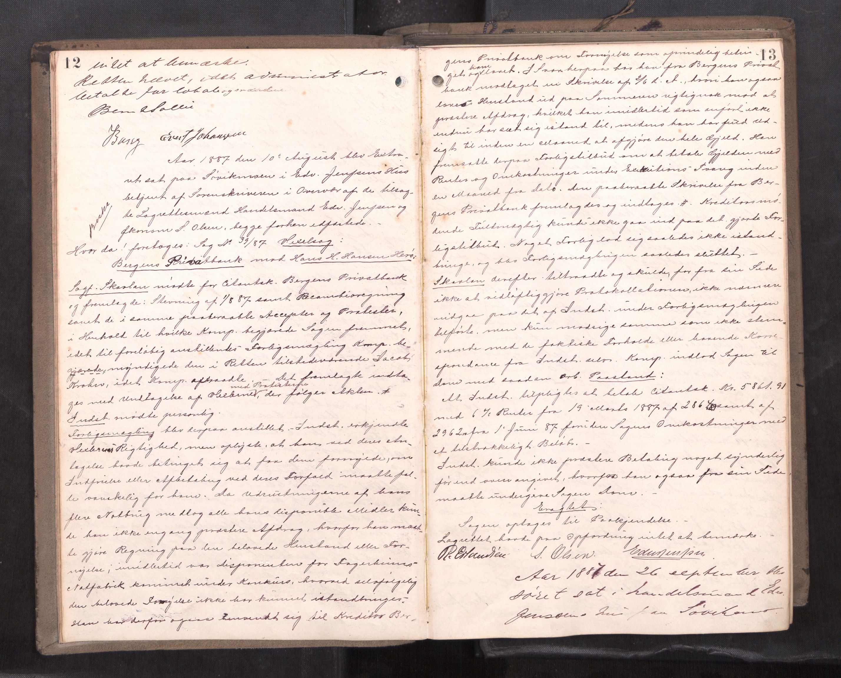 Søndre Helgeland sorenskriveri, AV/SAT-A-4575/1/1/1B/1Ba/L0016: ekstrarettsprotokoll, 1887-1900, p. 12-13