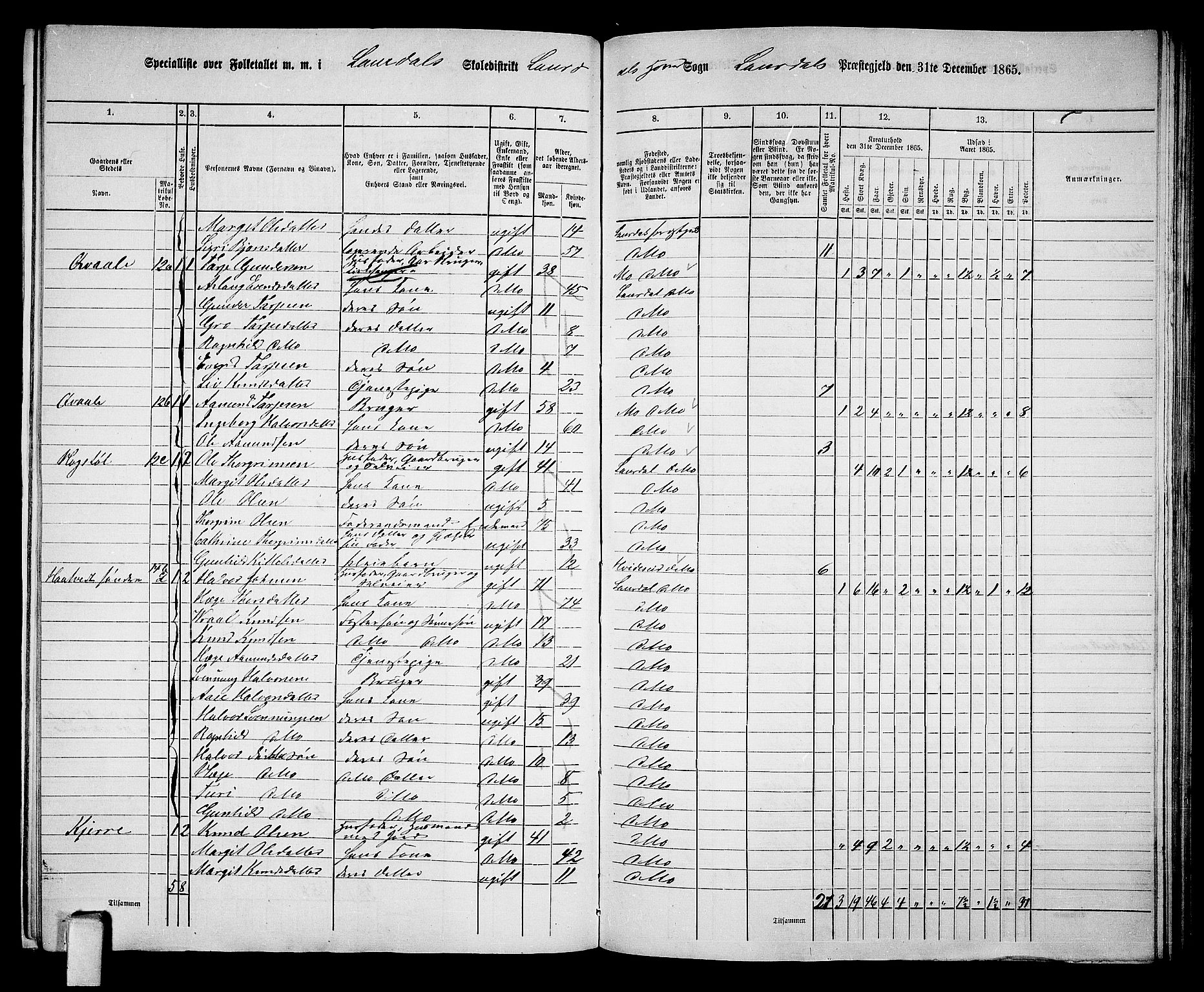 RA, 1865 census for Lårdal, 1865, p. 13