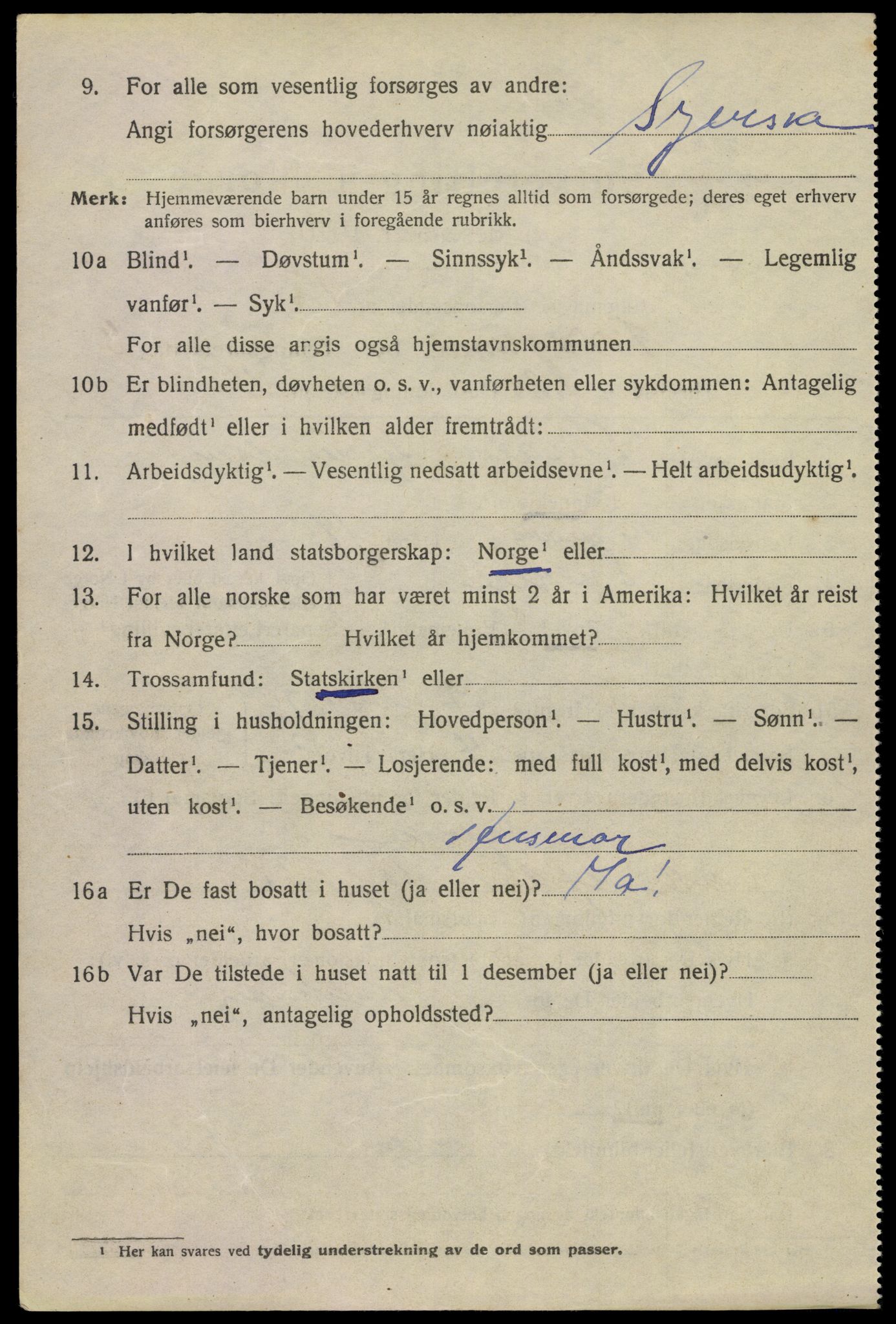 SAKO, 1920 census for Porsgrunn, 1920, p. 17316