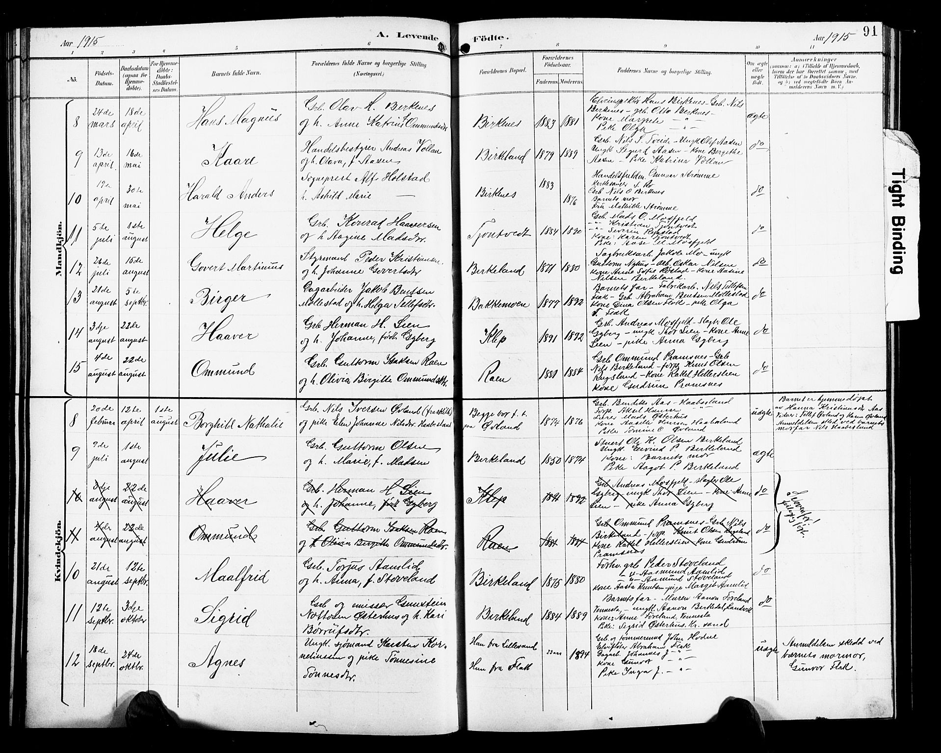 Birkenes sokneprestkontor, AV/SAK-1111-0004/F/Fb/L0004: Parish register (copy) no. B 4, 1893-1930, p. 91