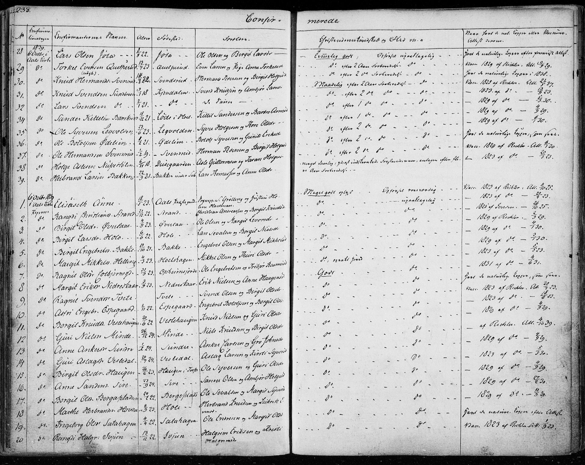 Ål kirkebøker, AV/SAKO-A-249/F/Fa/L0005: Parish register (official) no. I 5, 1825-1848, p. 238