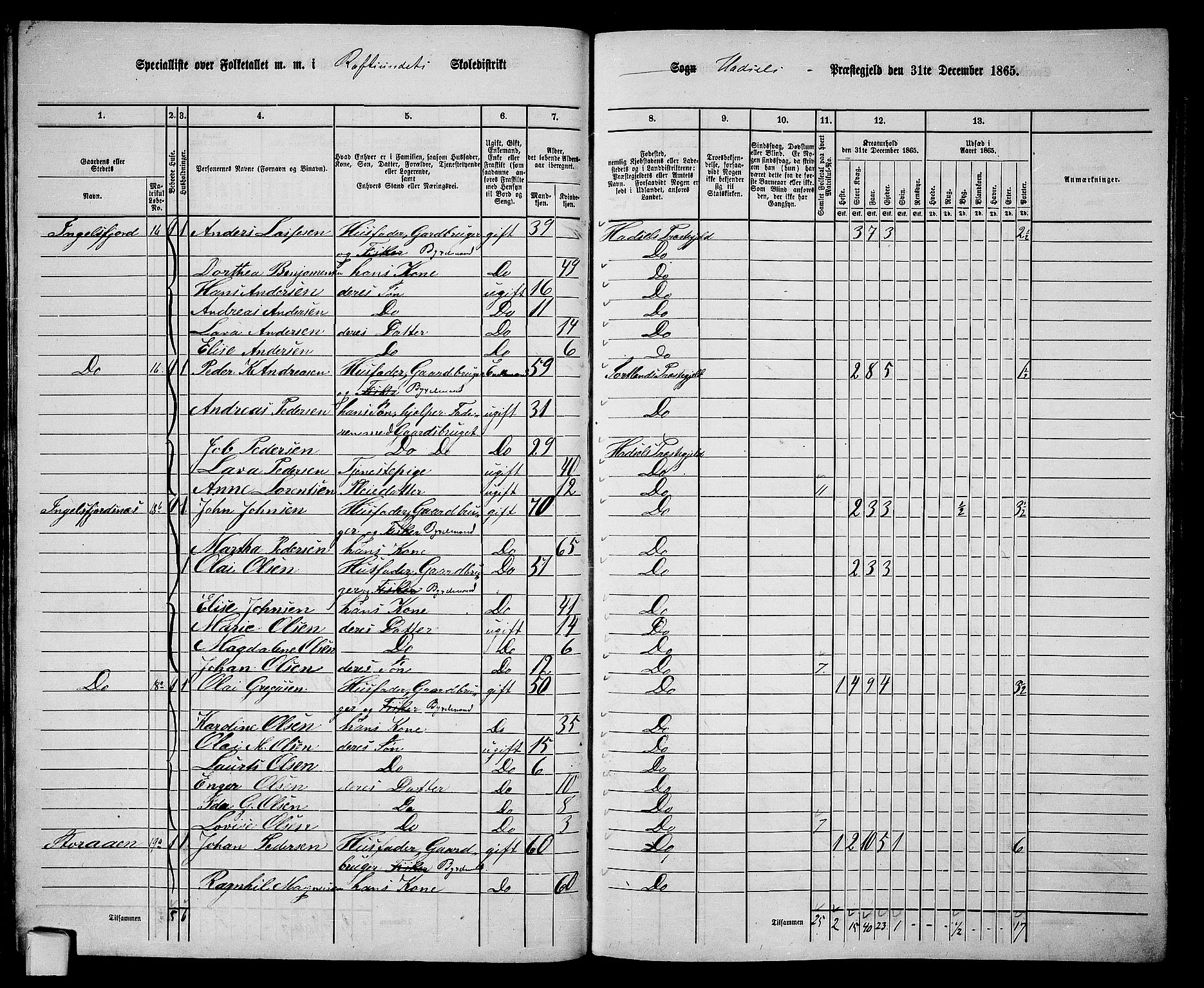 RA, 1865 census for Hadsel, 1865, p. 43