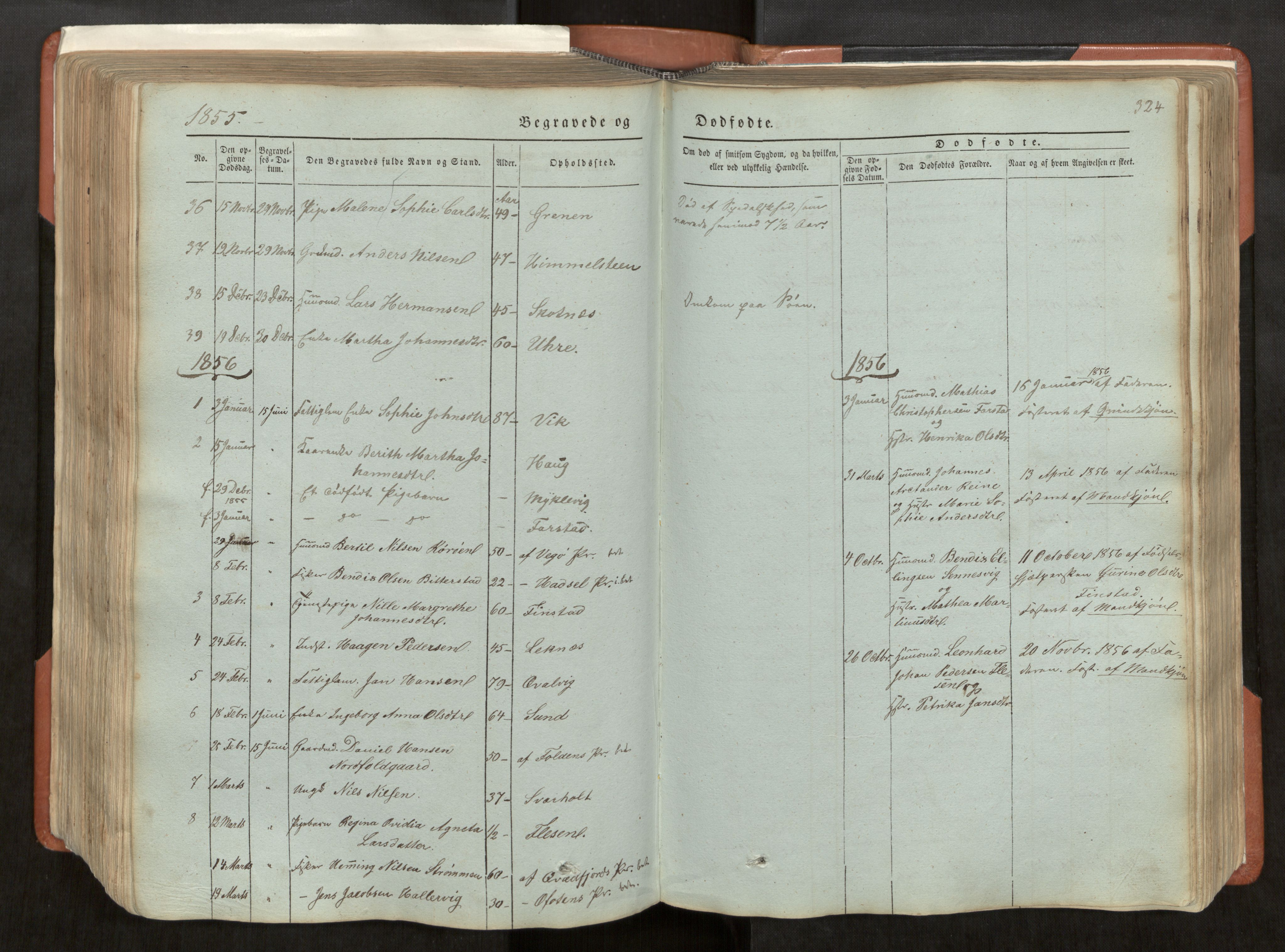 Ministerialprotokoller, klokkerbøker og fødselsregistre - Nordland, SAT/A-1459/881/L1165: Parish register (copy) no. 881C02, 1854-1876, p. 324