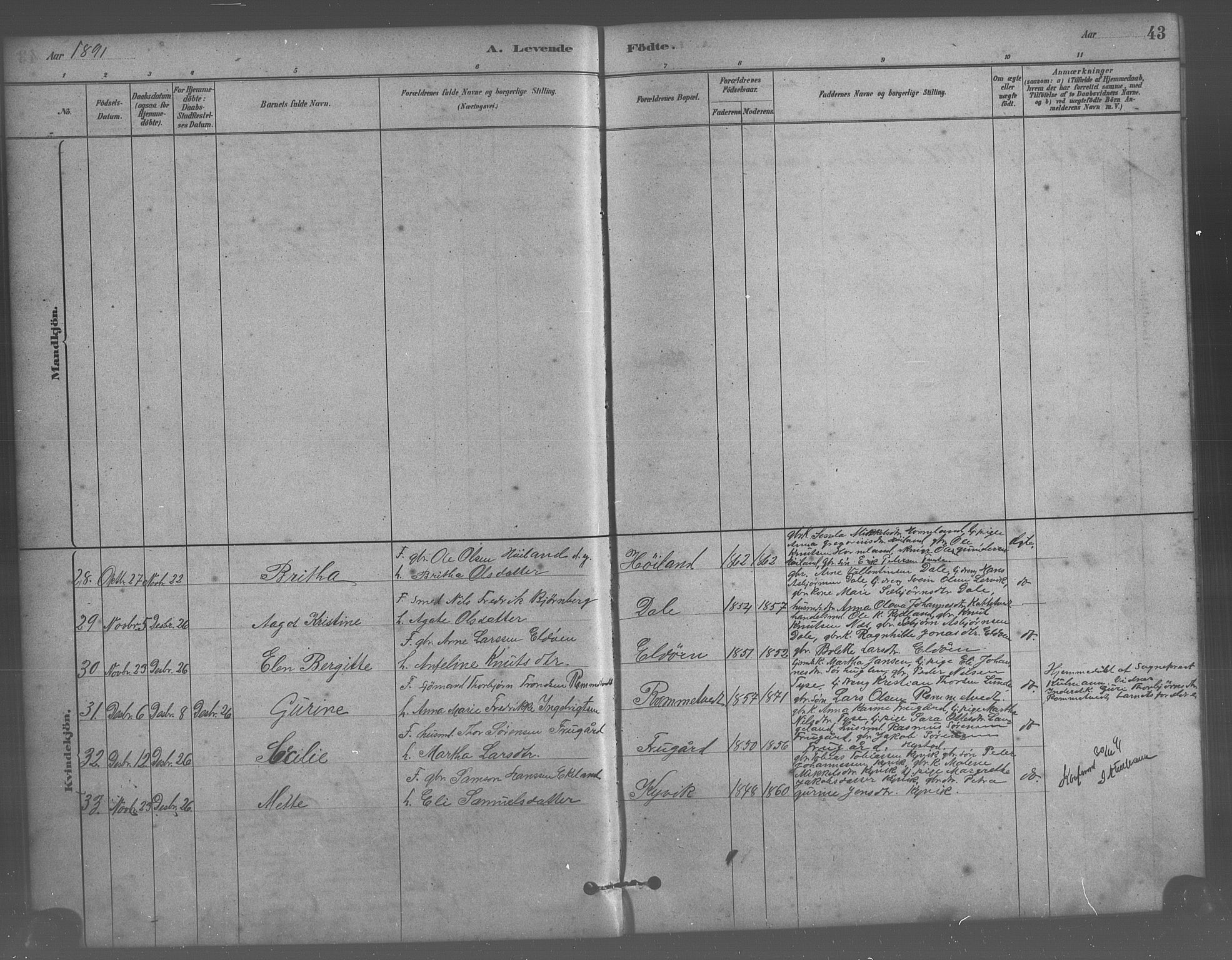 Stord sokneprestembete, SAB/A-78201/H/Hab: Parish register (copy) no. A 2, 1879-1909, p. 43