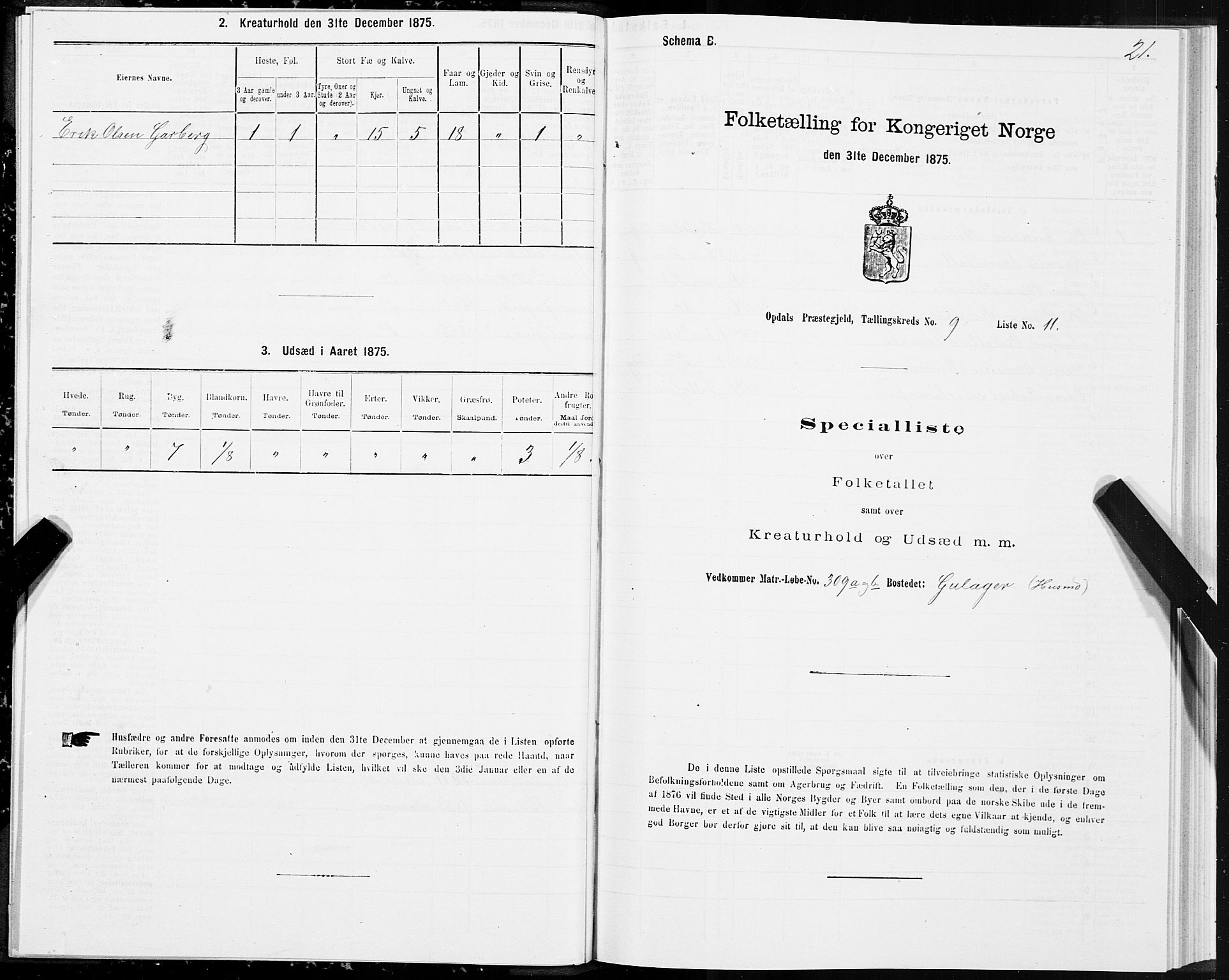 SAT, 1875 census for 1634P Oppdal, 1875, p. 6021